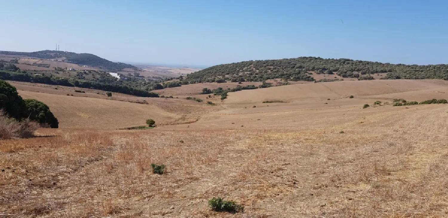  till salu tomt Parralejo Janda (La) 3