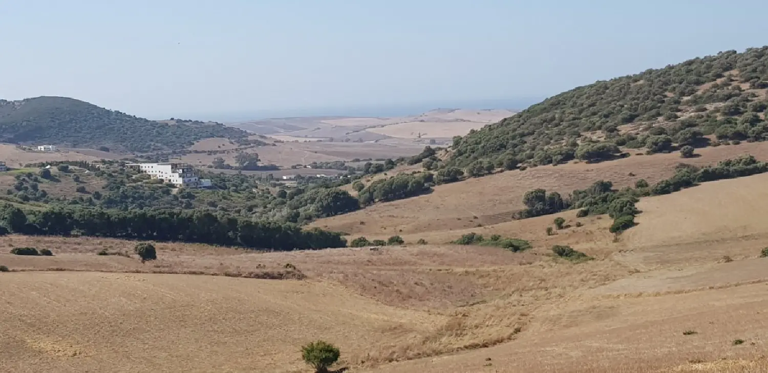  till salu tomt Parralejo Janda (La) 1