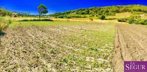 Cantarranas Janda (La) tomt foto 6189176