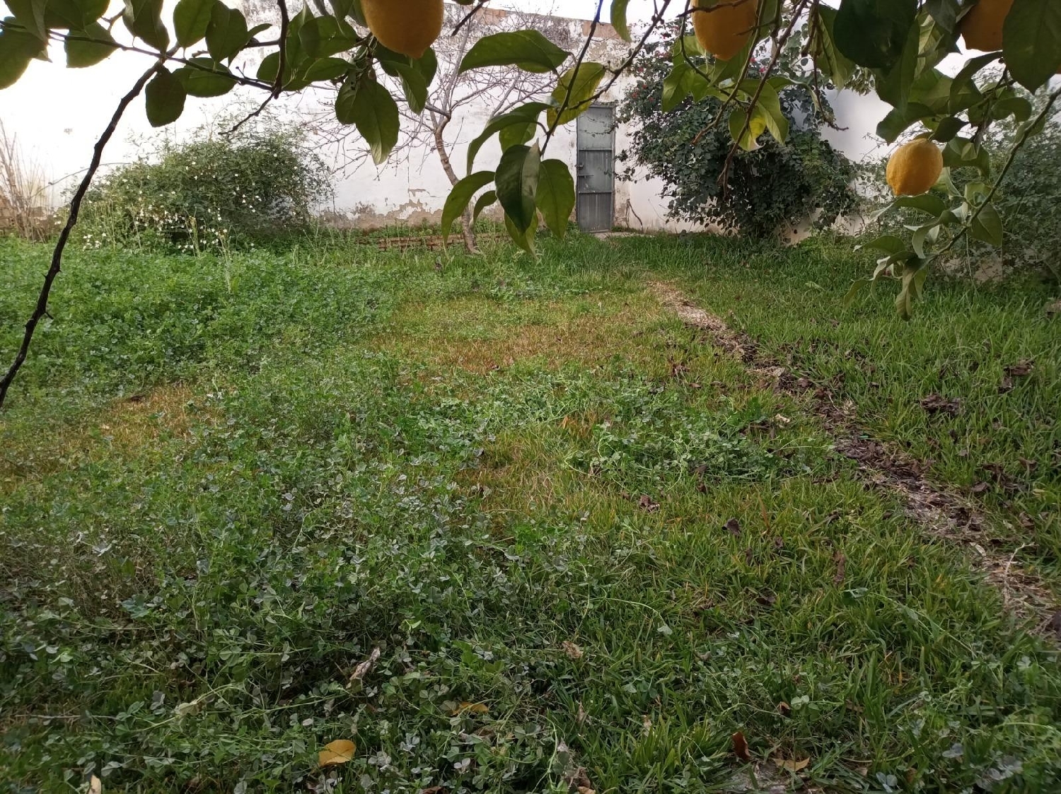  till salu tomt Cantillana Vega Del Guadalquivir 6