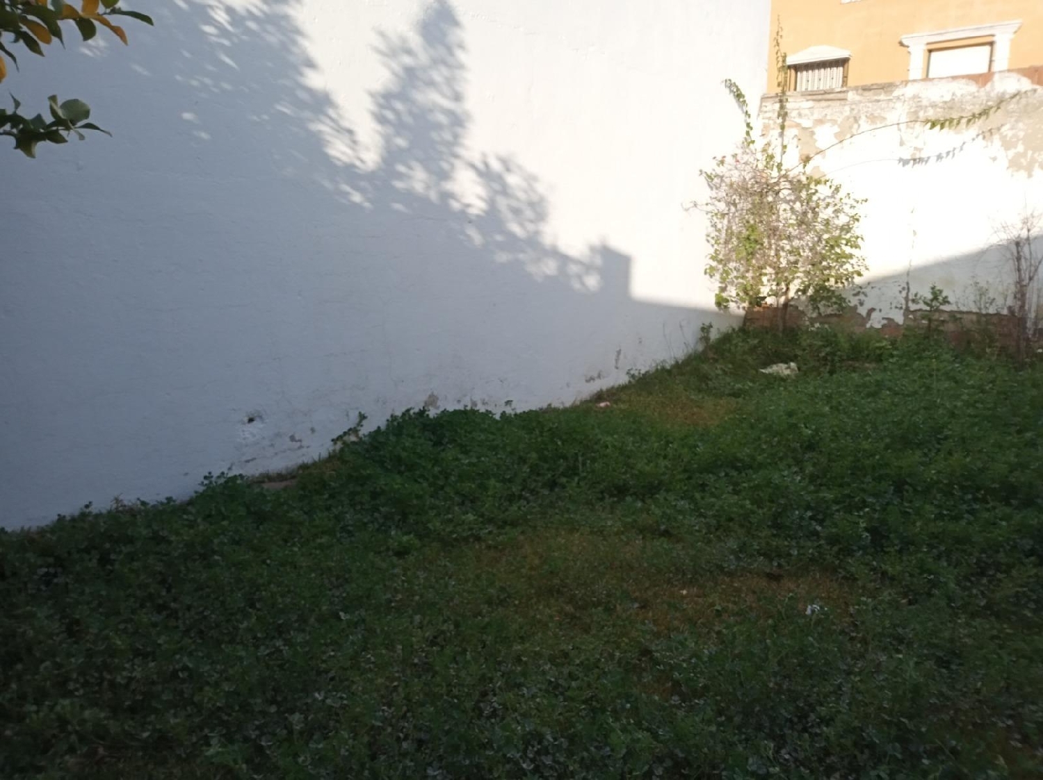  till salu tomt Cantillana Vega Del Guadalquivir 4