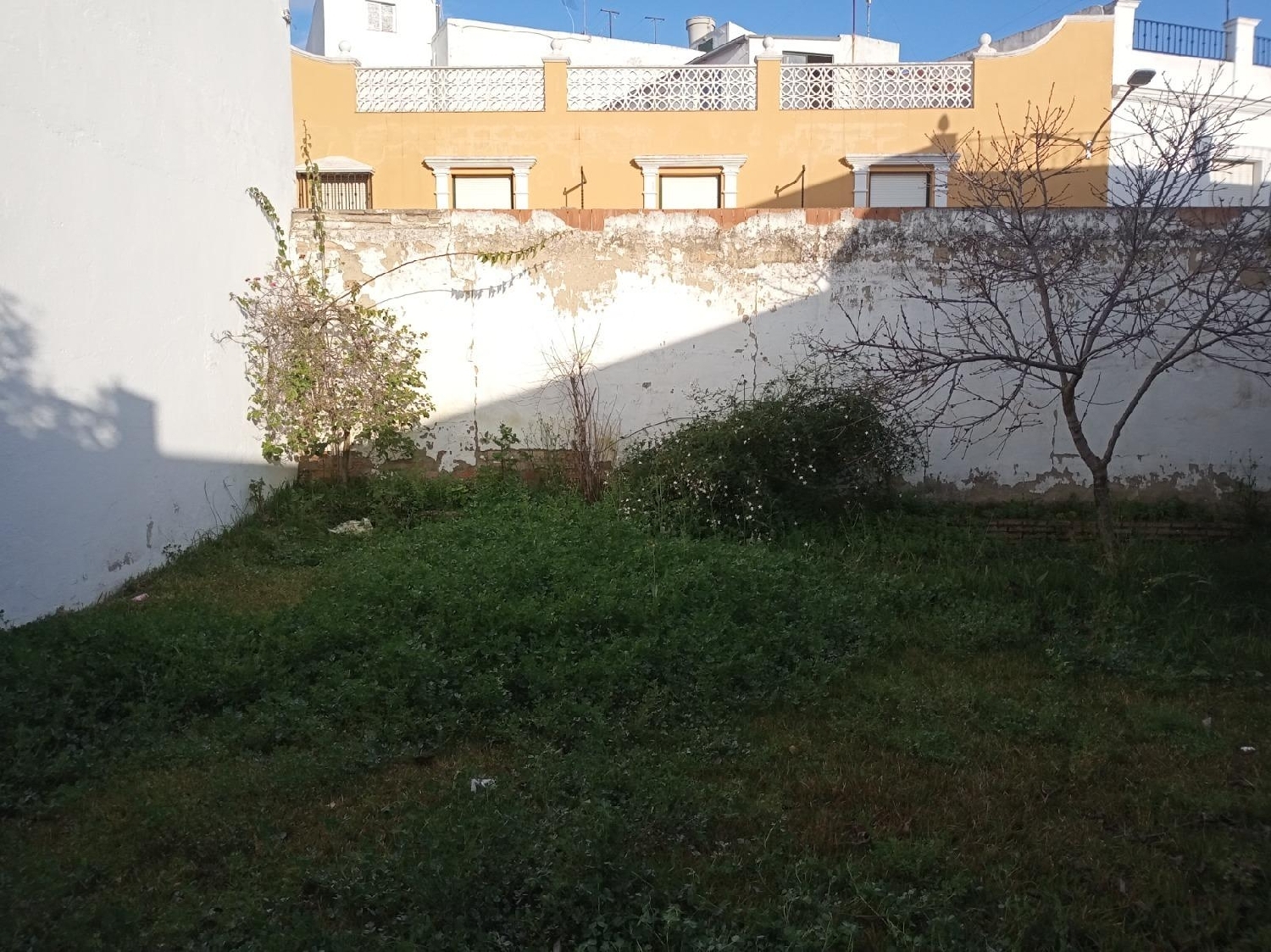 till salu tomt Cantillana Vega Del Guadalquivir 3