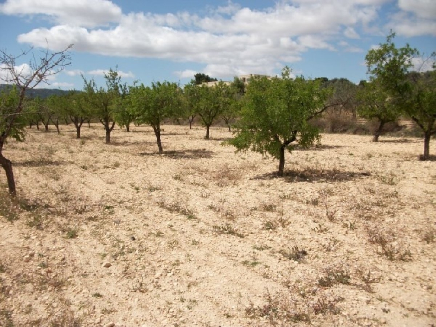 till salu tomt El Derramao Vinalopó Mitjà 2