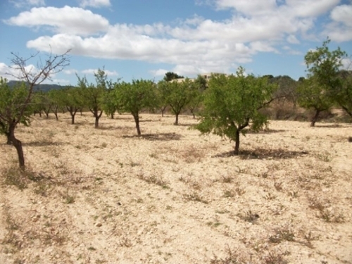 El Derramao Vinalopó Mitjà tomt foto 6223377