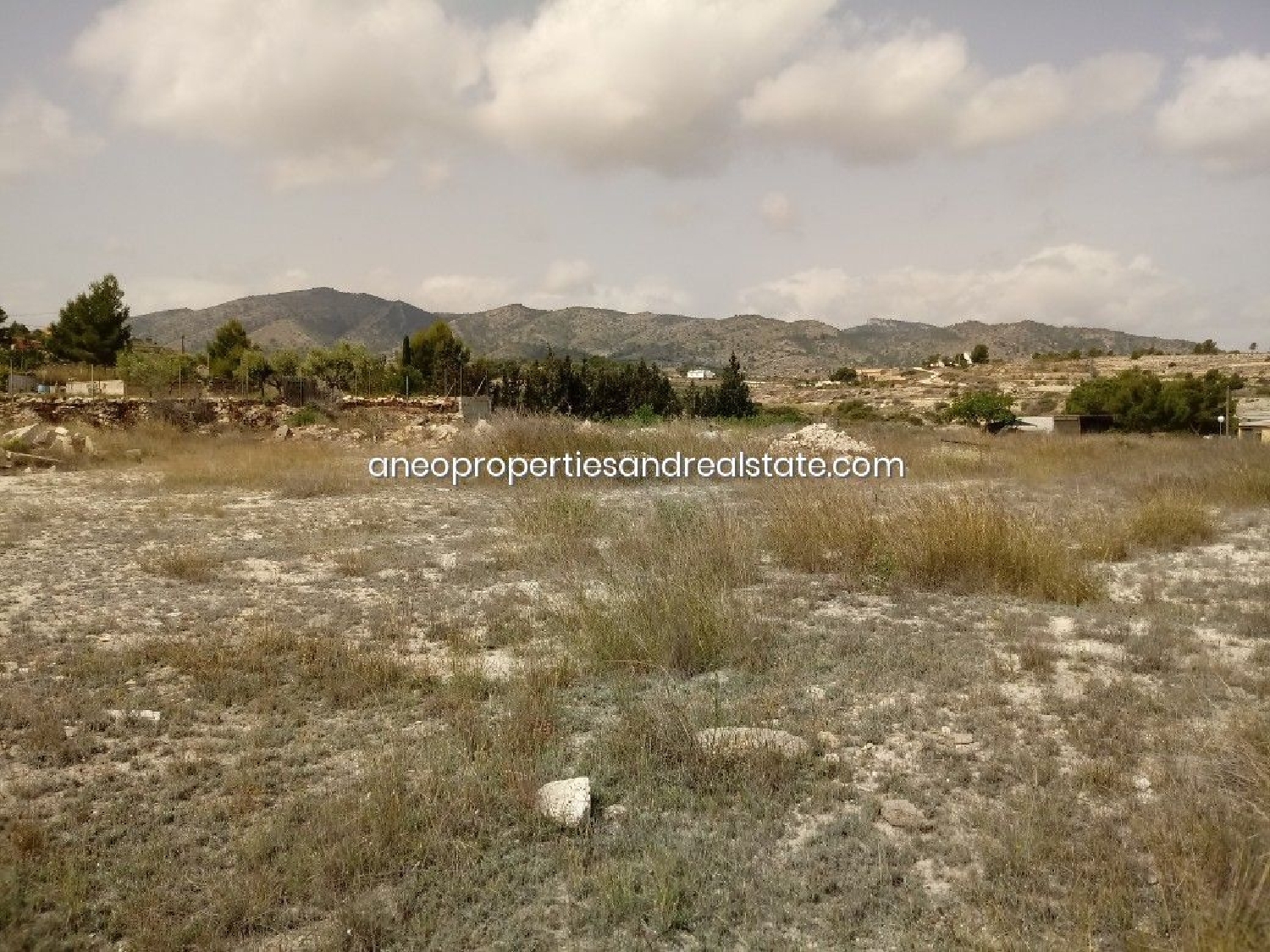  till salu tomt Canyades D'en Cirus Vinalopó Mitjà 6