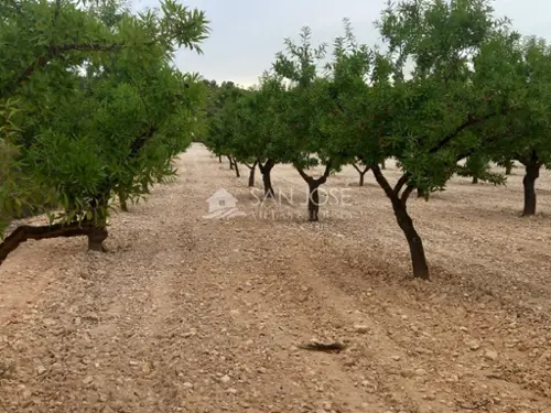 Monóvar Vinalopó Mitjà tomt foto 6191237