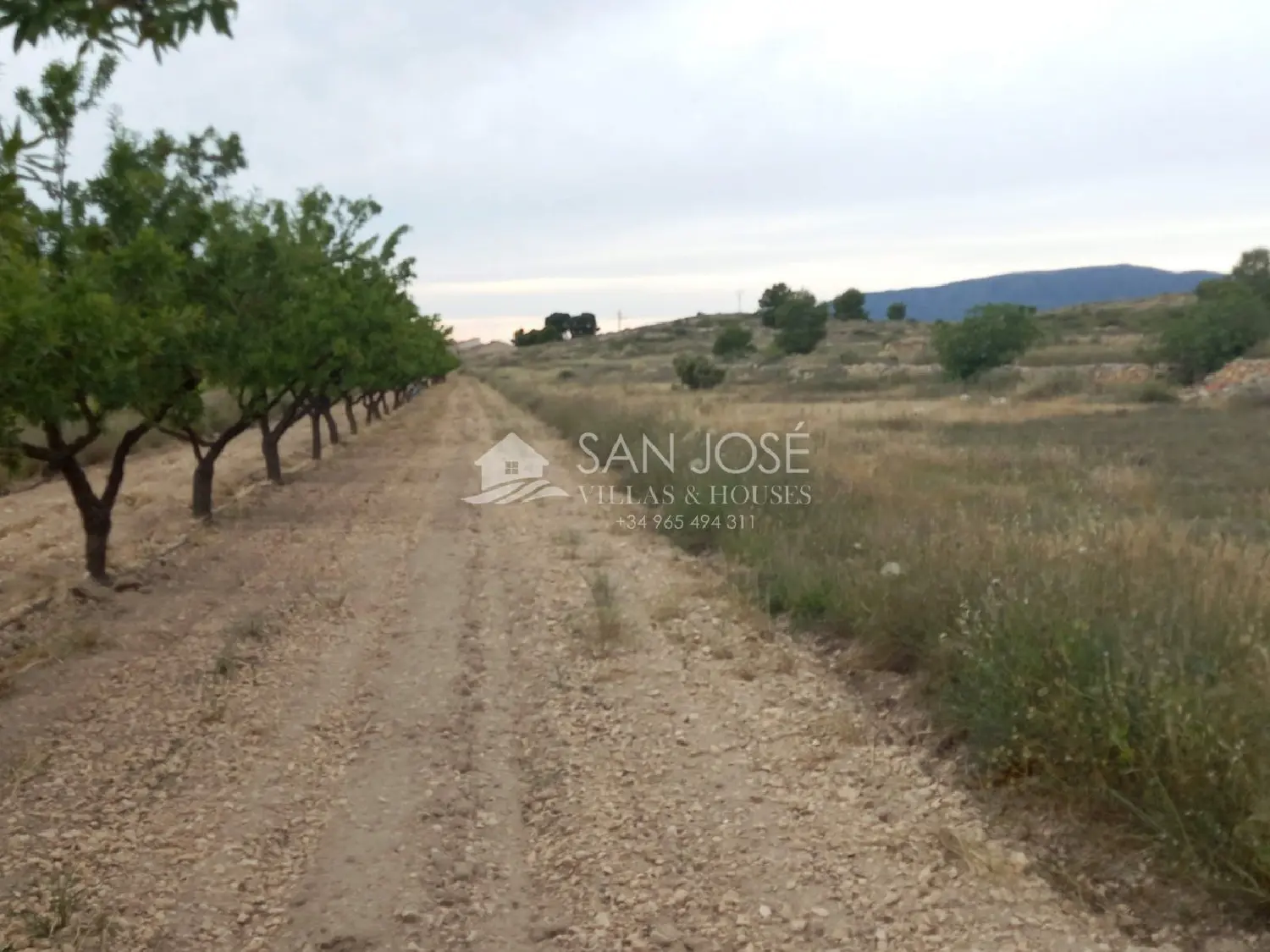 till salu tomt Monóvar Vinalopó Mitjà 2