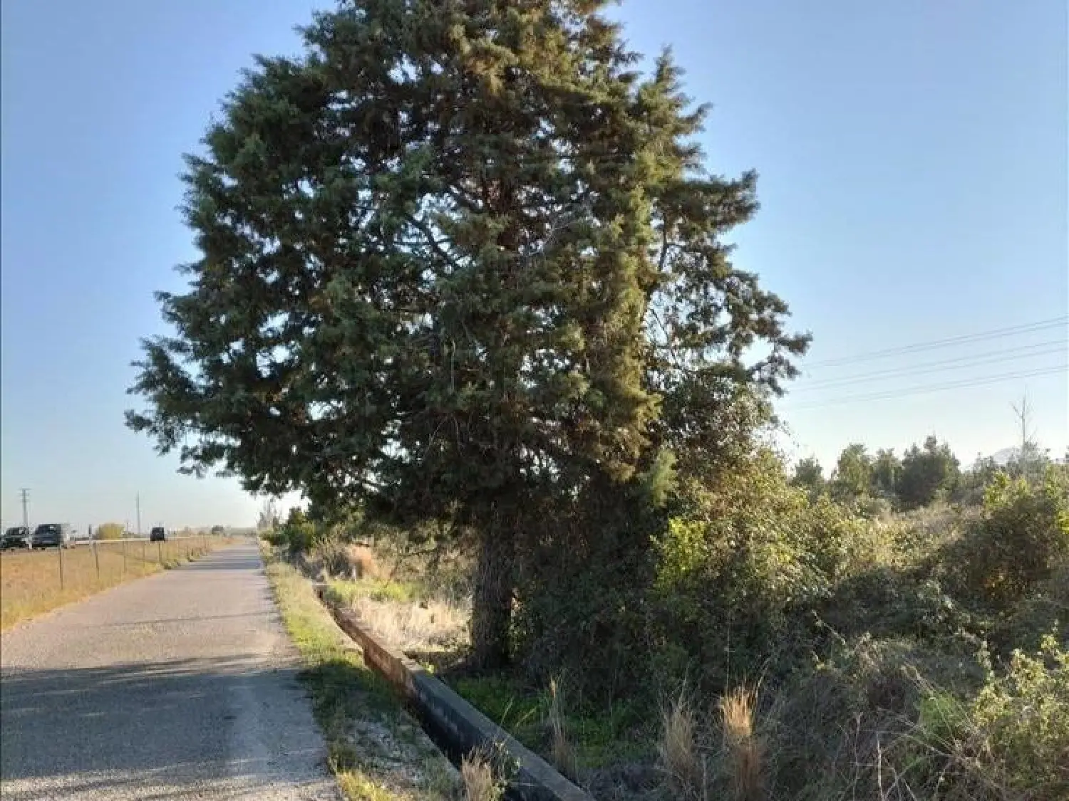  till salu tomt Urbanización Tiro De Pichón Ribera Alta 1