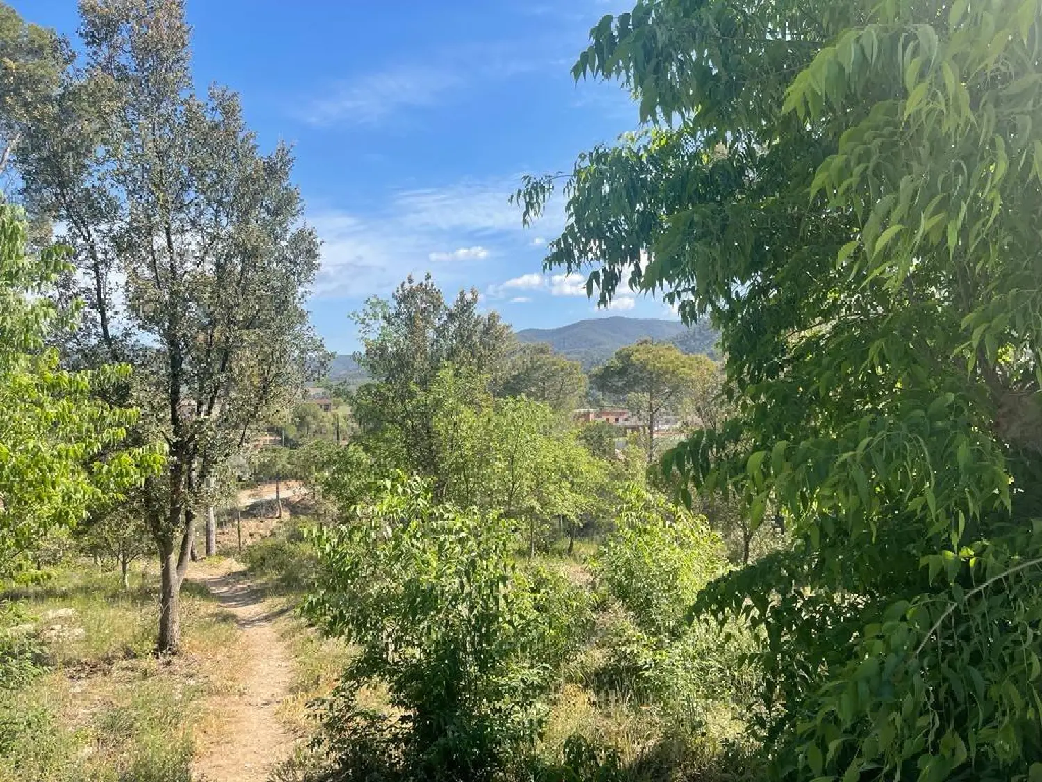 till salu tomt Les Pinedes De L'ermengol Anoia 2
