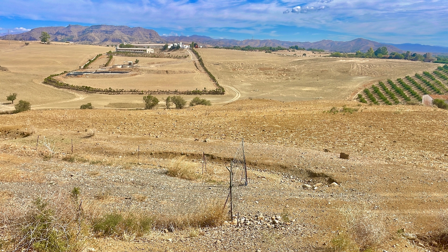  till salu tomt Cártama Valle Del Guadalhorce 3