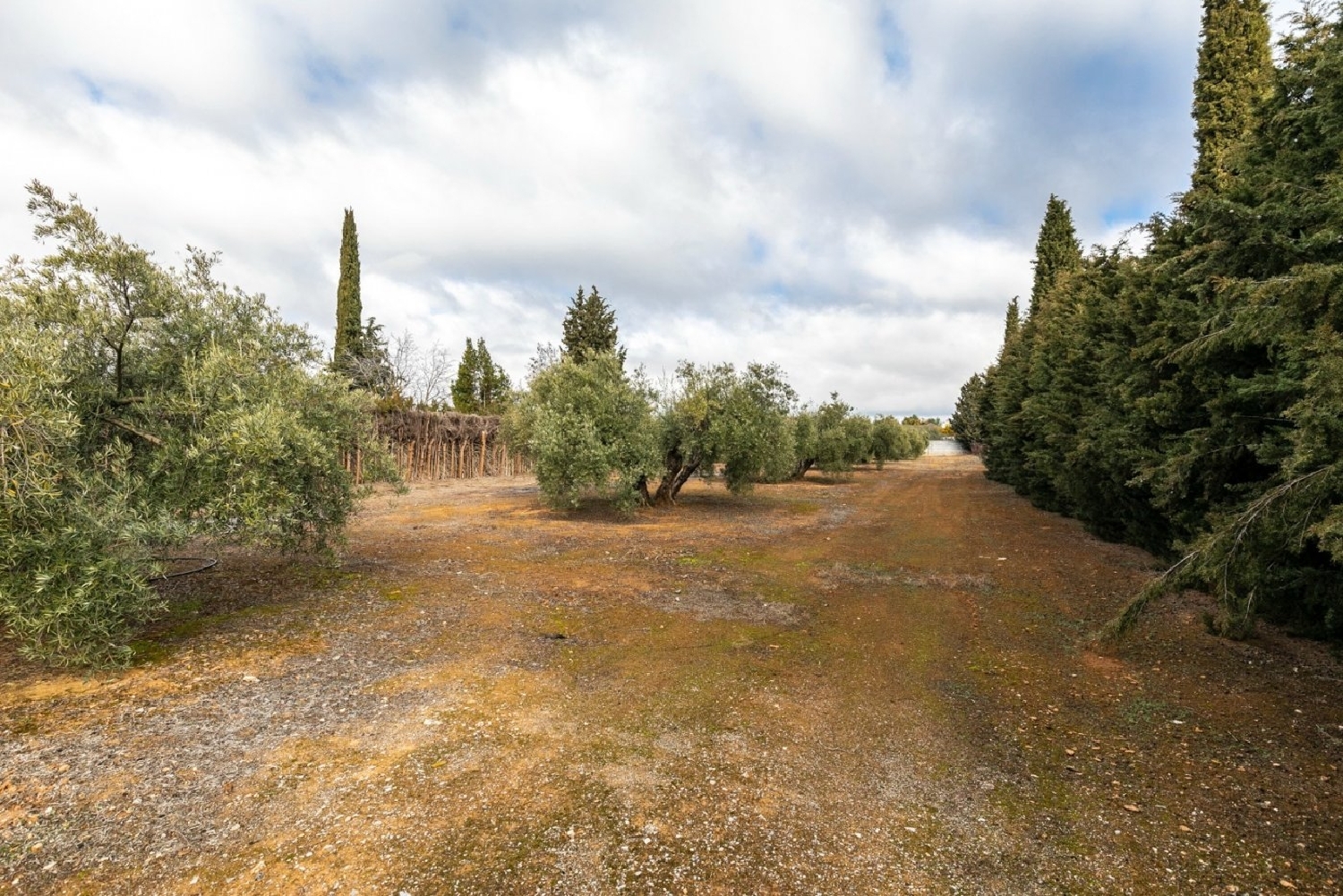  for sale plot Casanueva Vega De Granada 6