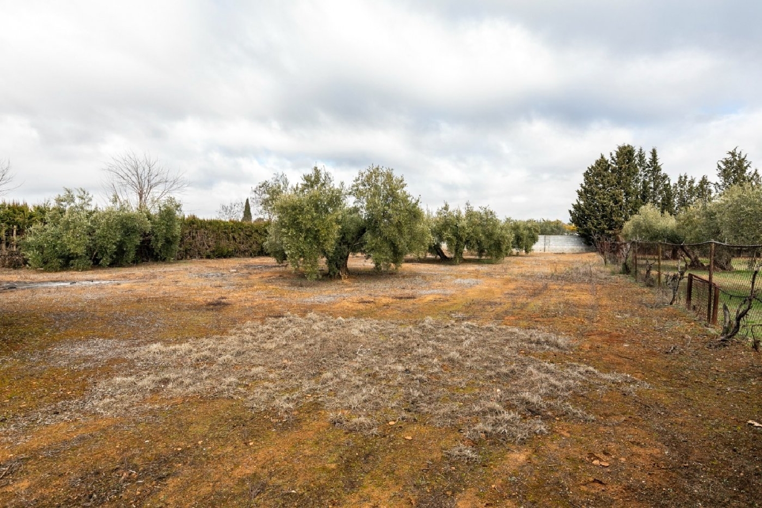  for sale plot Casanueva Vega De Granada 4