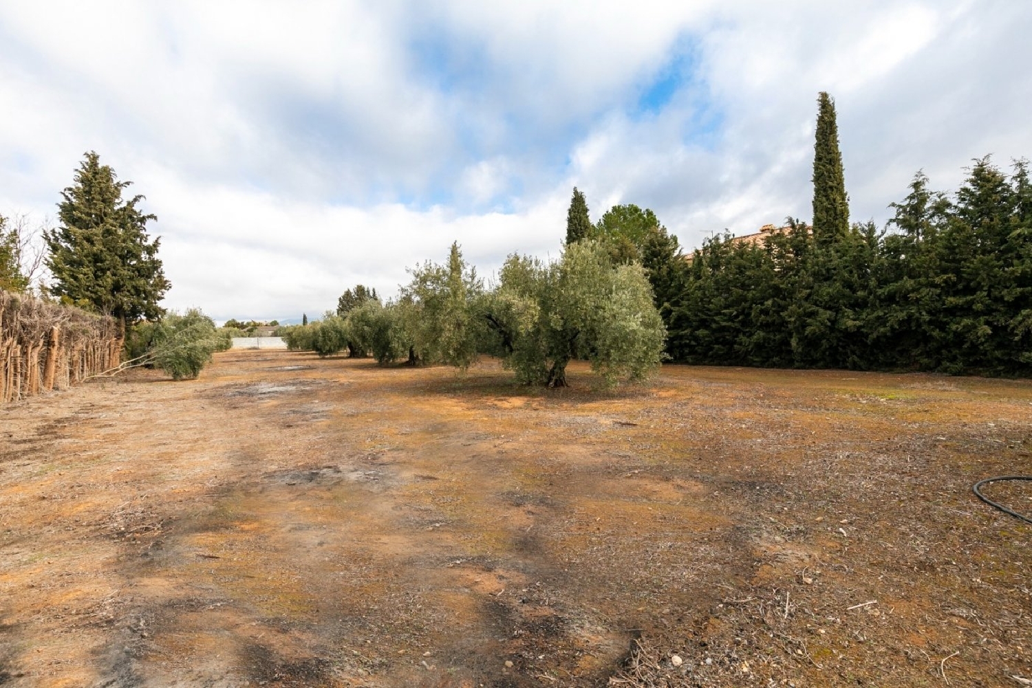 for sale plot Casanueva Vega De Granada 3