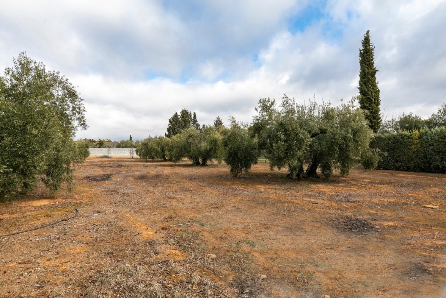 for sale plot Casanueva Vega De Granada 2