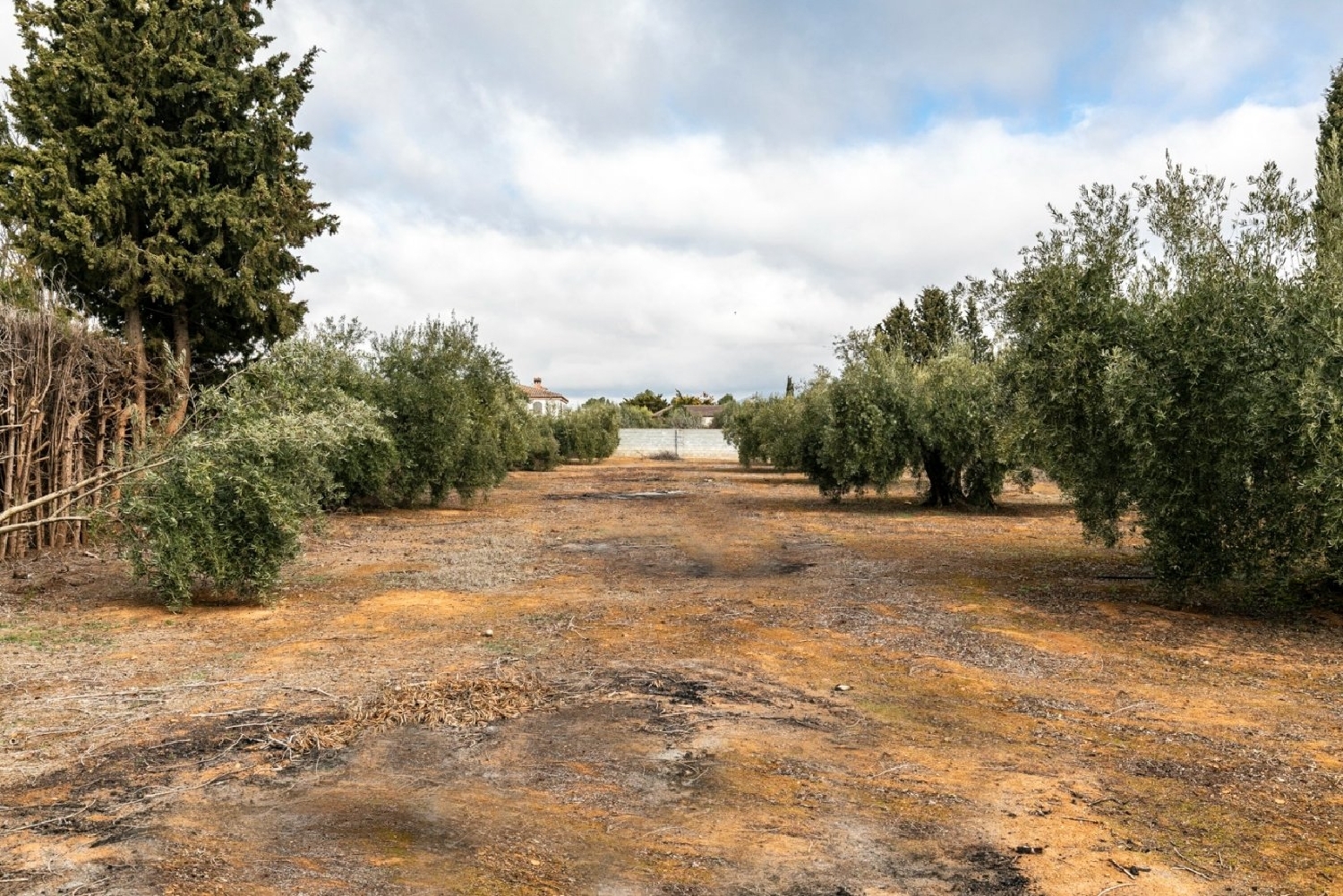  for sale plot Casanueva Vega De Granada 5