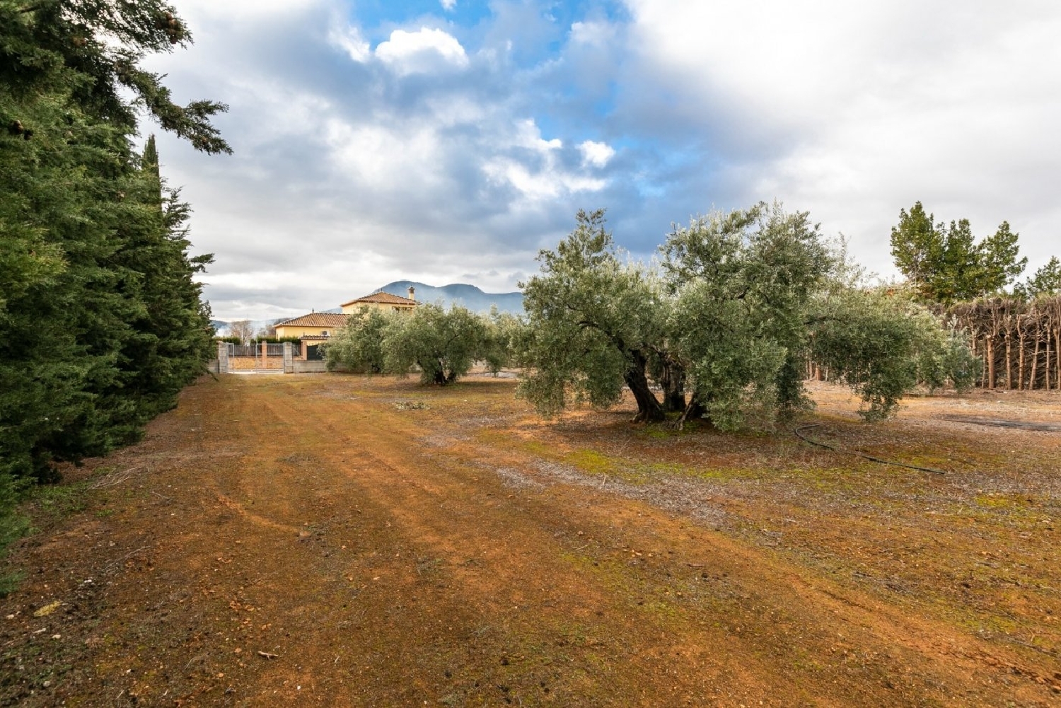  for sale plot Casanueva Vega De Granada 8