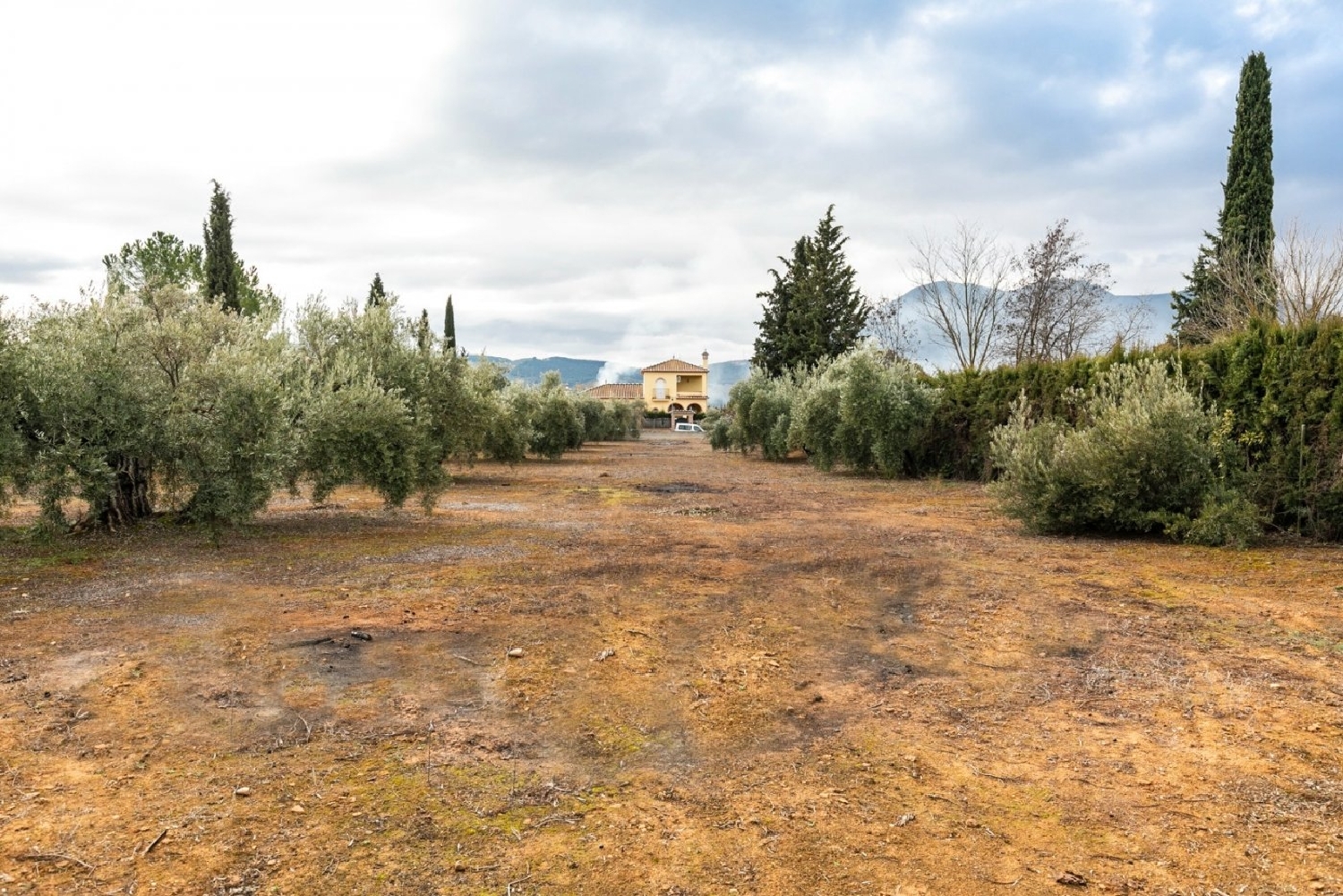  for sale plot Casanueva Vega De Granada 1