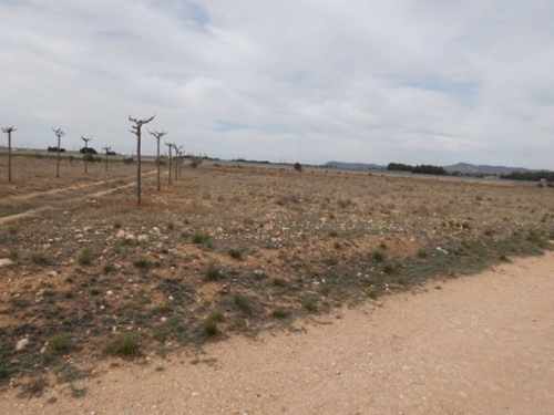 Casas Del Campillo Monte Ibérico Almansa tomt foto 6255609