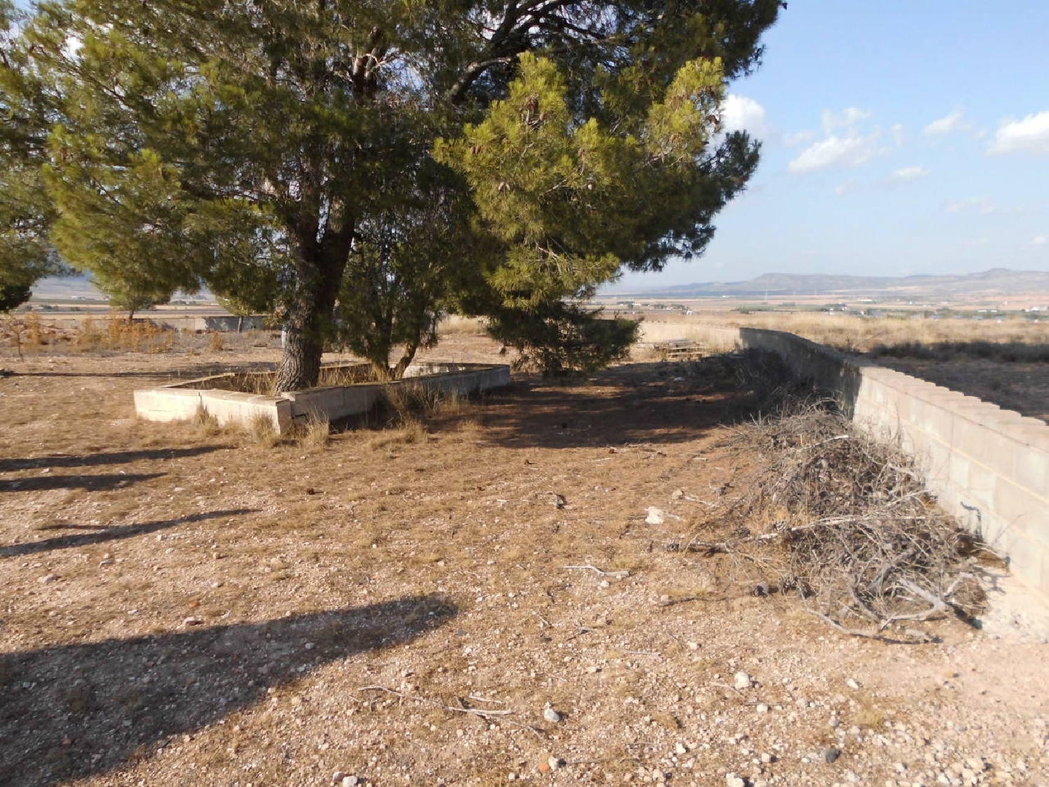  till salu tomt Casas Del Campillo Monte Ibérico Almansa 5