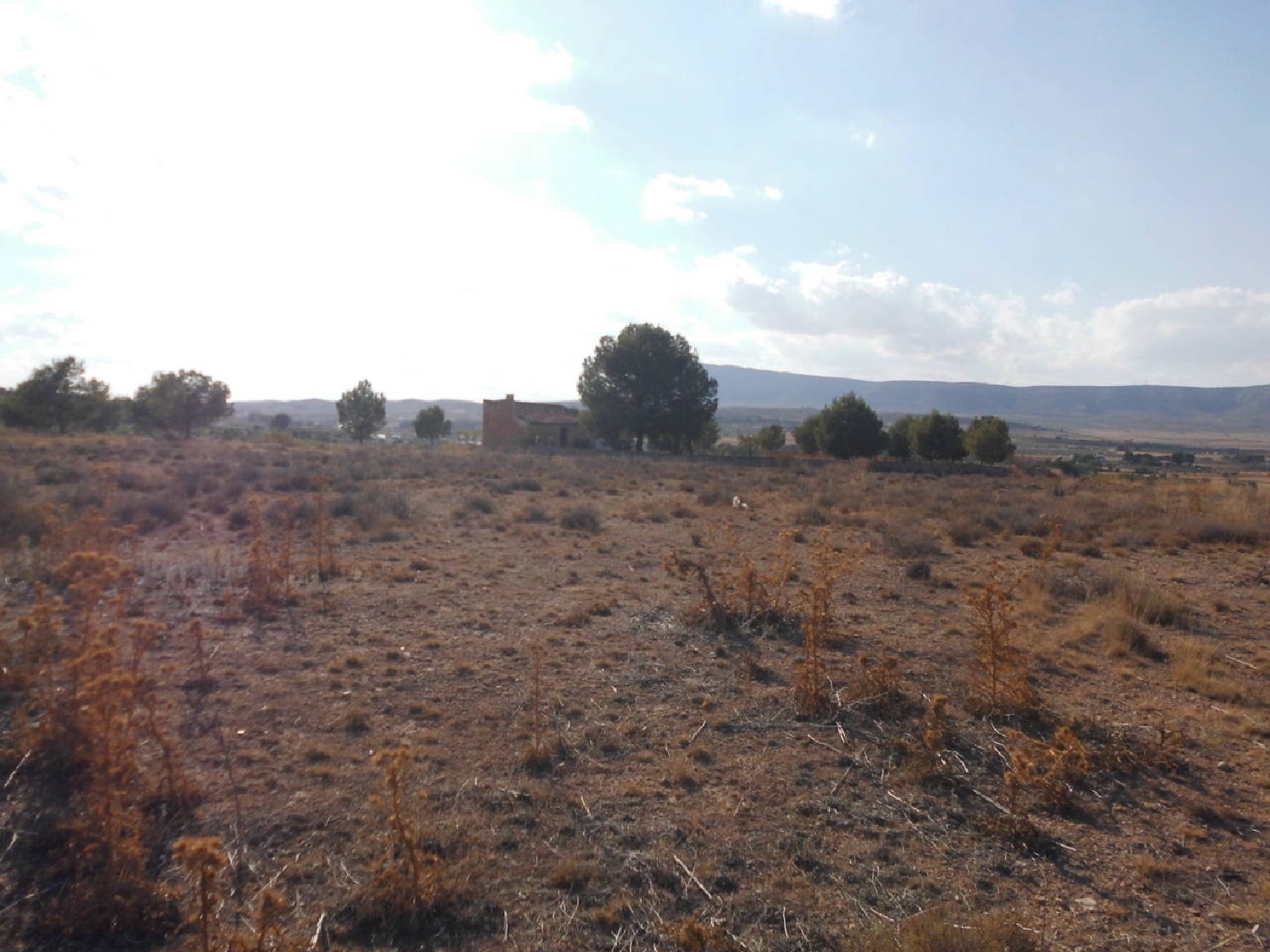  till salu tomt Casas Del Campillo Monte Ibérico Almansa 4