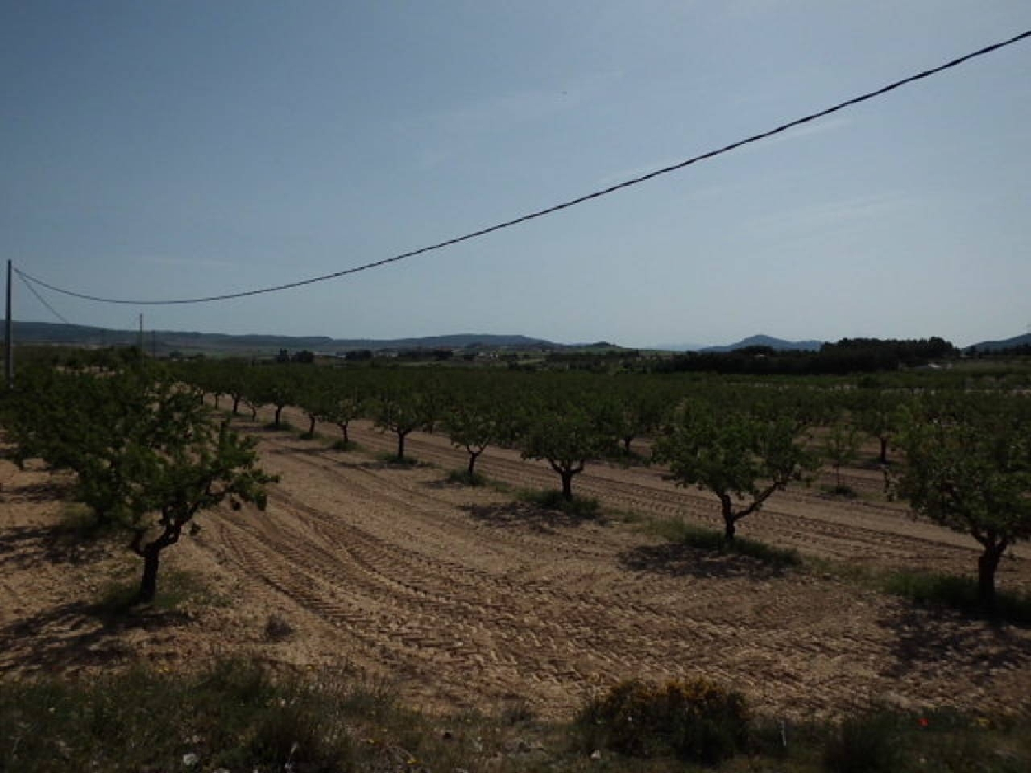  till salu tomt Casas Del Campillo Monte Ibérico Almansa 2