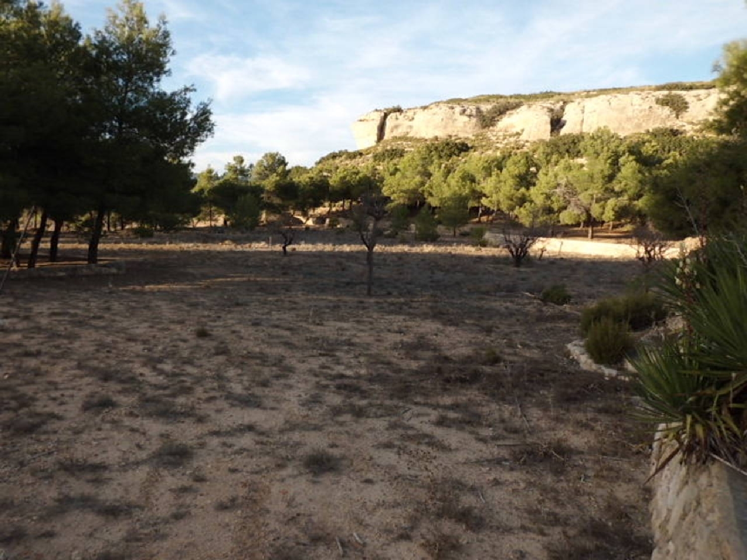 till salu tomt Casas Del Campillo Monte Ibérico Almansa 3