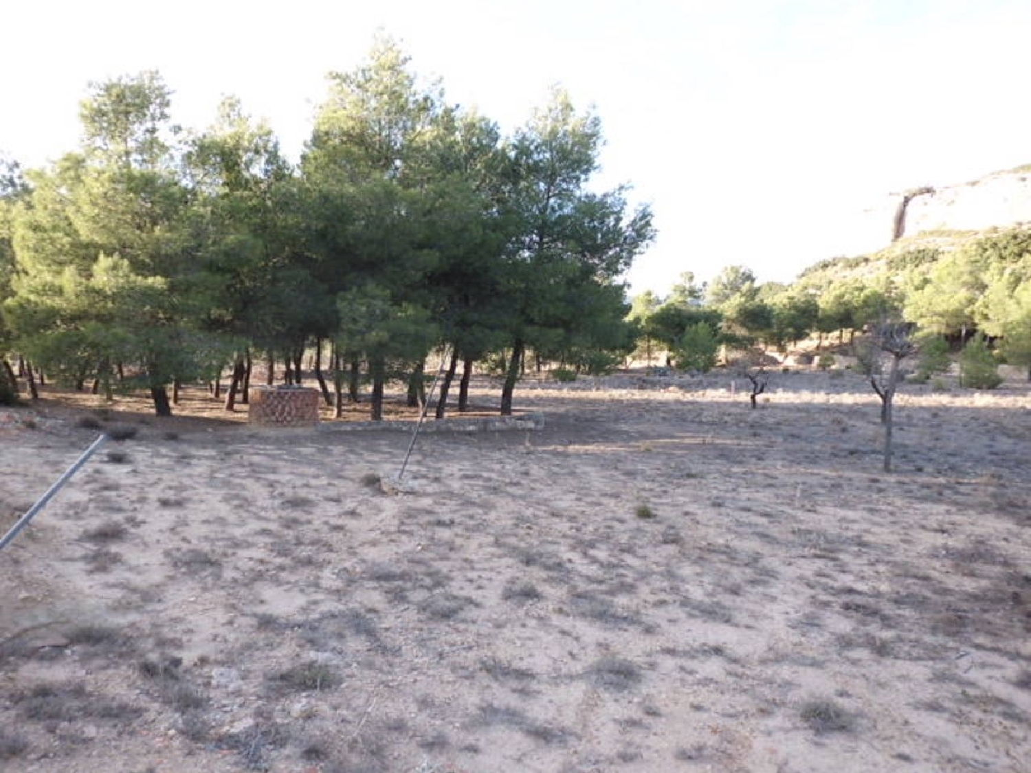  till salu tomt Casas Del Campillo Monte Ibérico Almansa 4