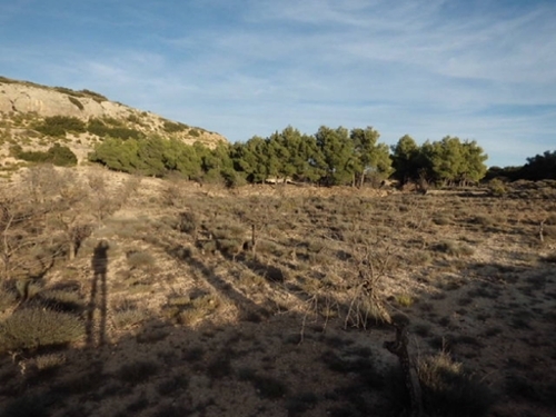 Casas Del Campillo Monte Ibérico Almansa tomt foto 6255647