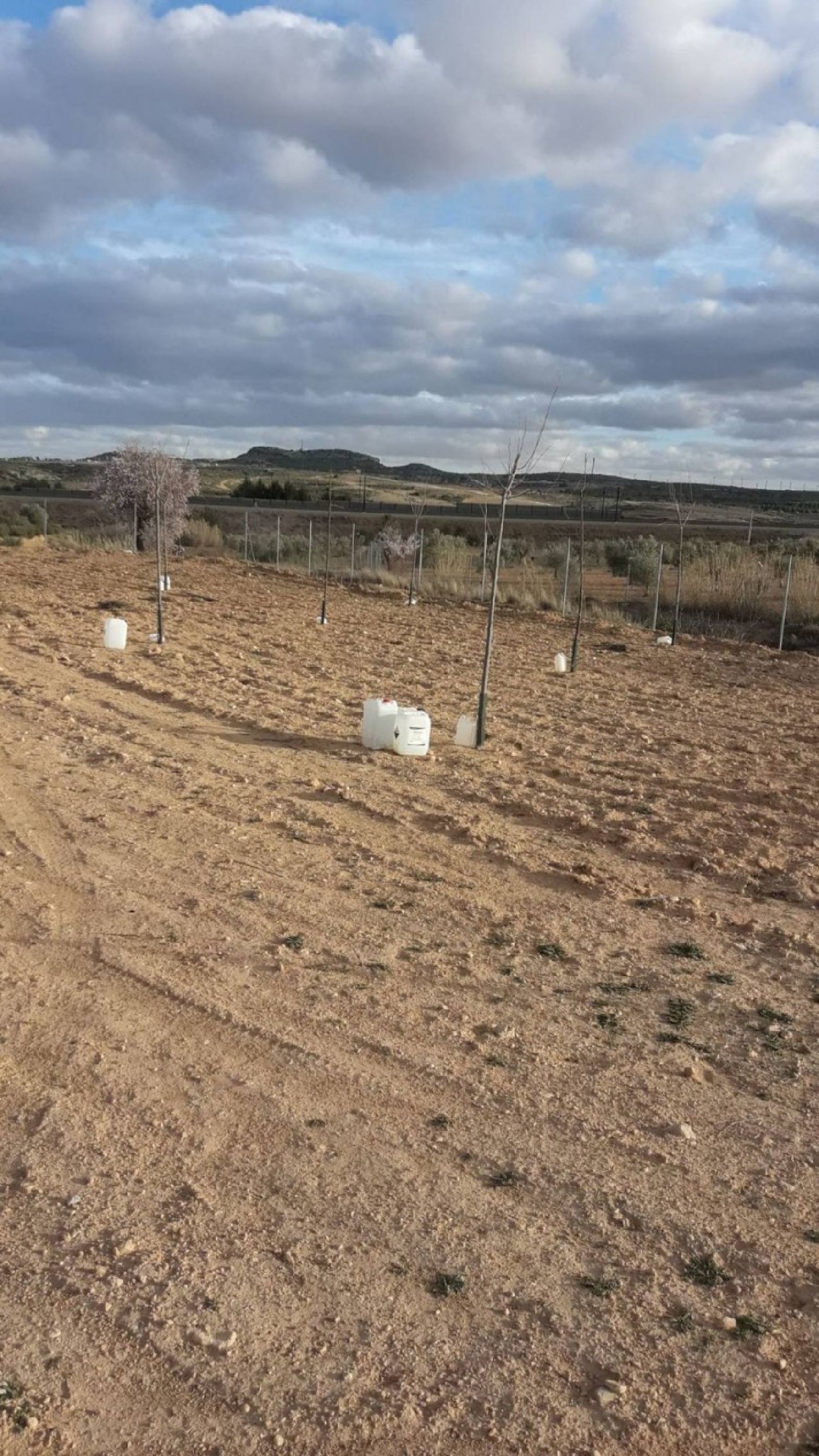  till salu tomt Casas Del Campillo Monte Ibérico Almansa 5