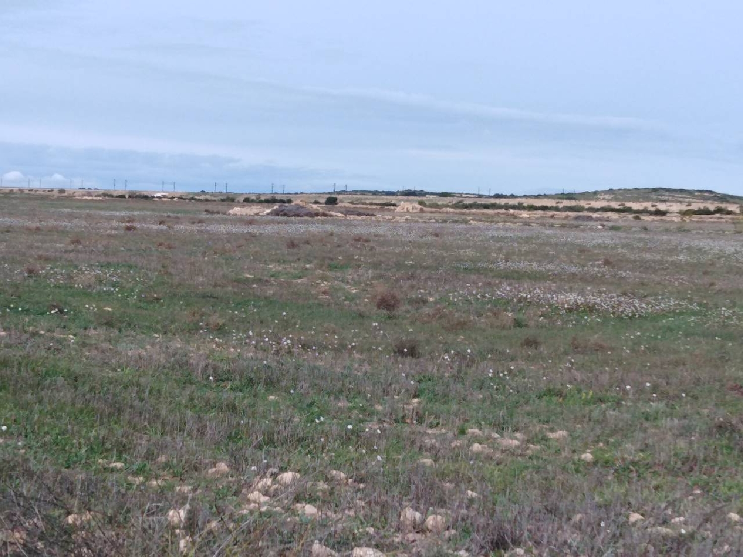 till salu tomt Casas Del Campillo Monte Ibérico Almansa 3
