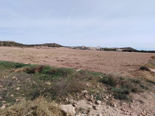 Casas Del Campillo Monte Ibérico Almansa tomt foto 6255694
