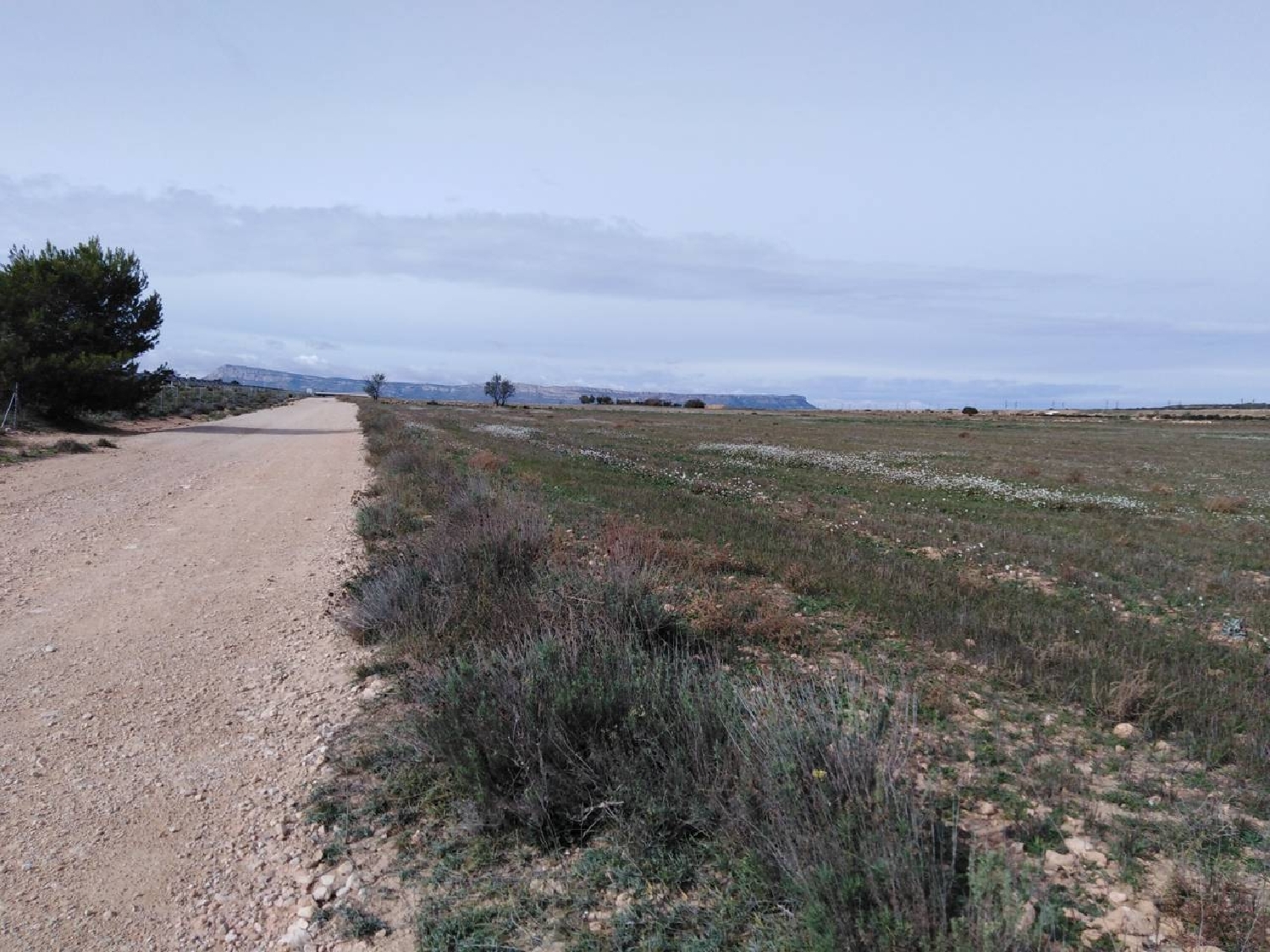  till salu tomt Casas Del Campillo Monte Ibérico Almansa 5