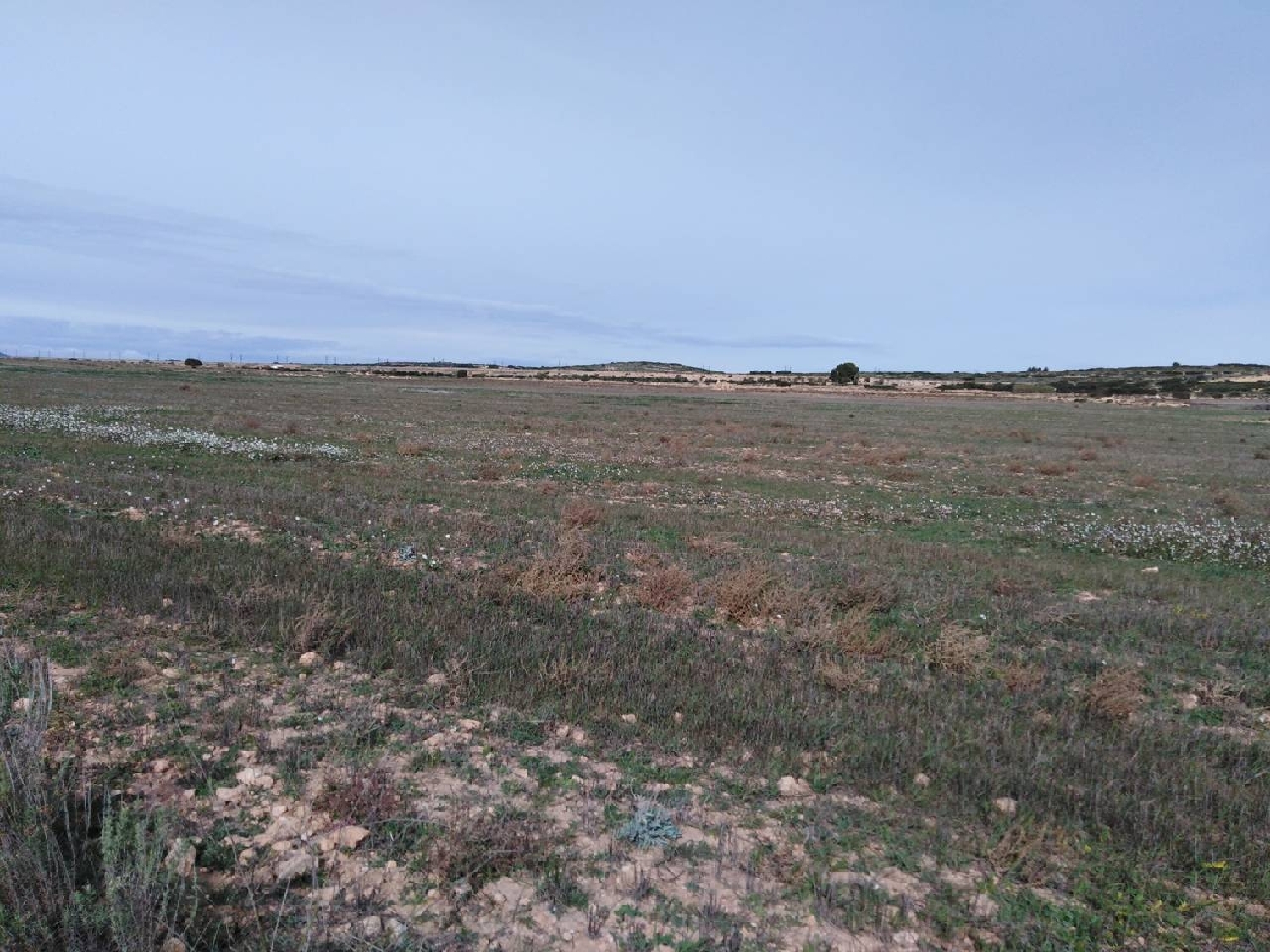  till salu tomt Casas Del Campillo Monte Ibérico Almansa 4