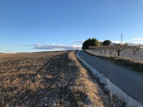 Casas Del Campillo Monte Ibérico Almansa tomt foto 6255727