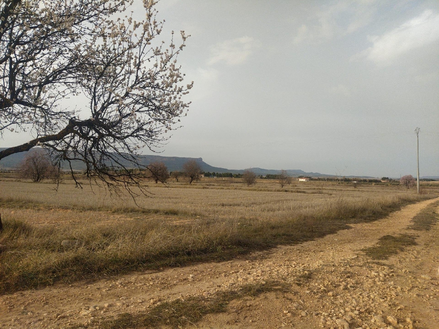 till salu tomt Casas Del Campillo Monte Ibérico Almansa 3