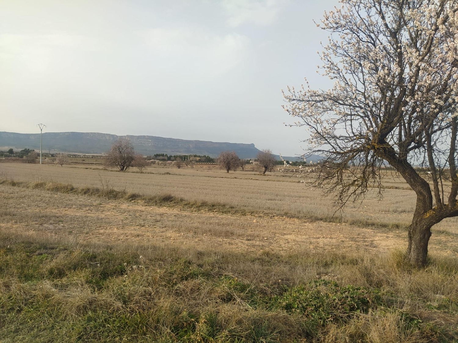  till salu tomt Casas Del Campillo Monte Ibérico Almansa 1