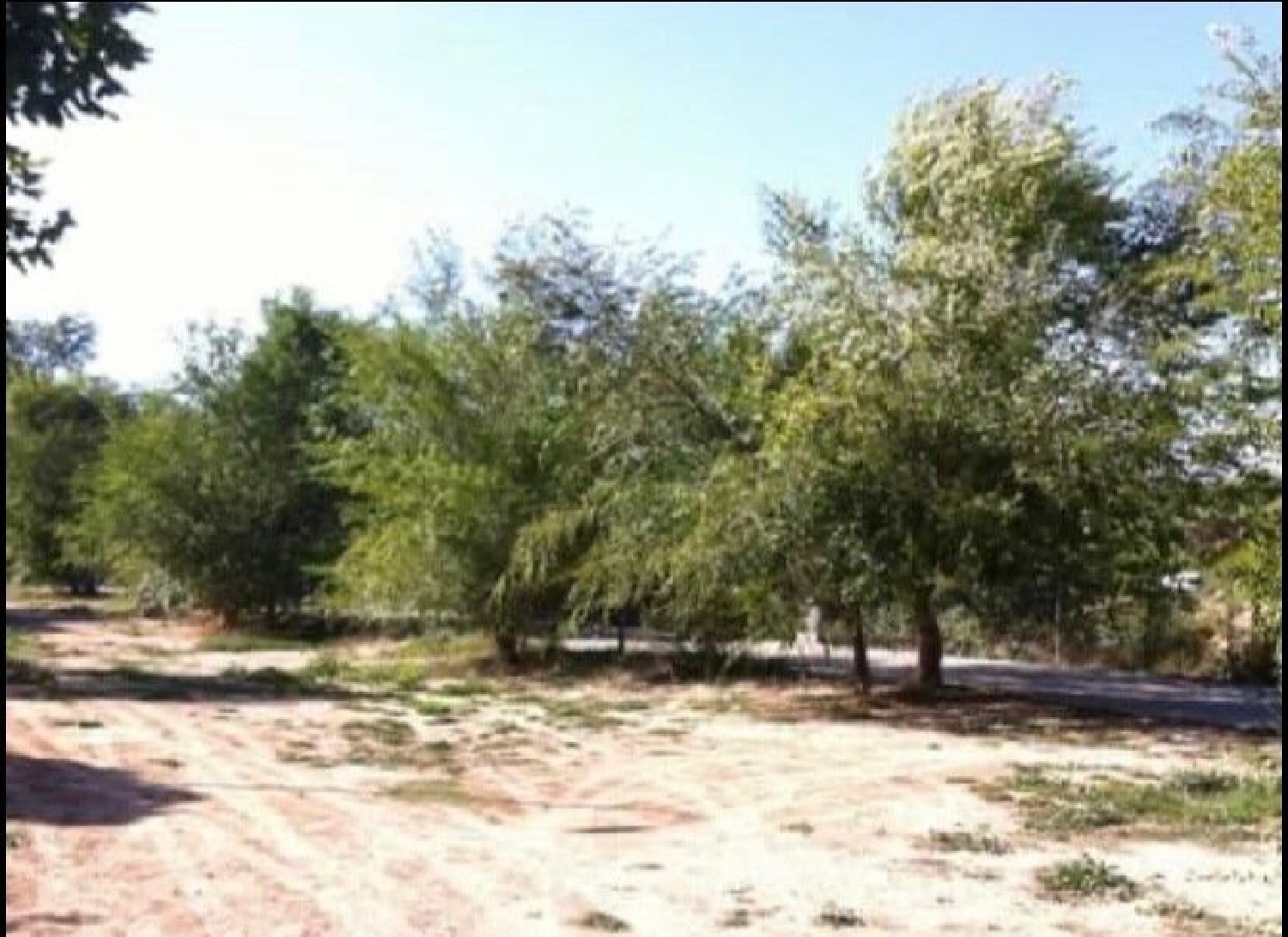 for sale plot Casas Del Campillo Monte Ibérico Almansa 3