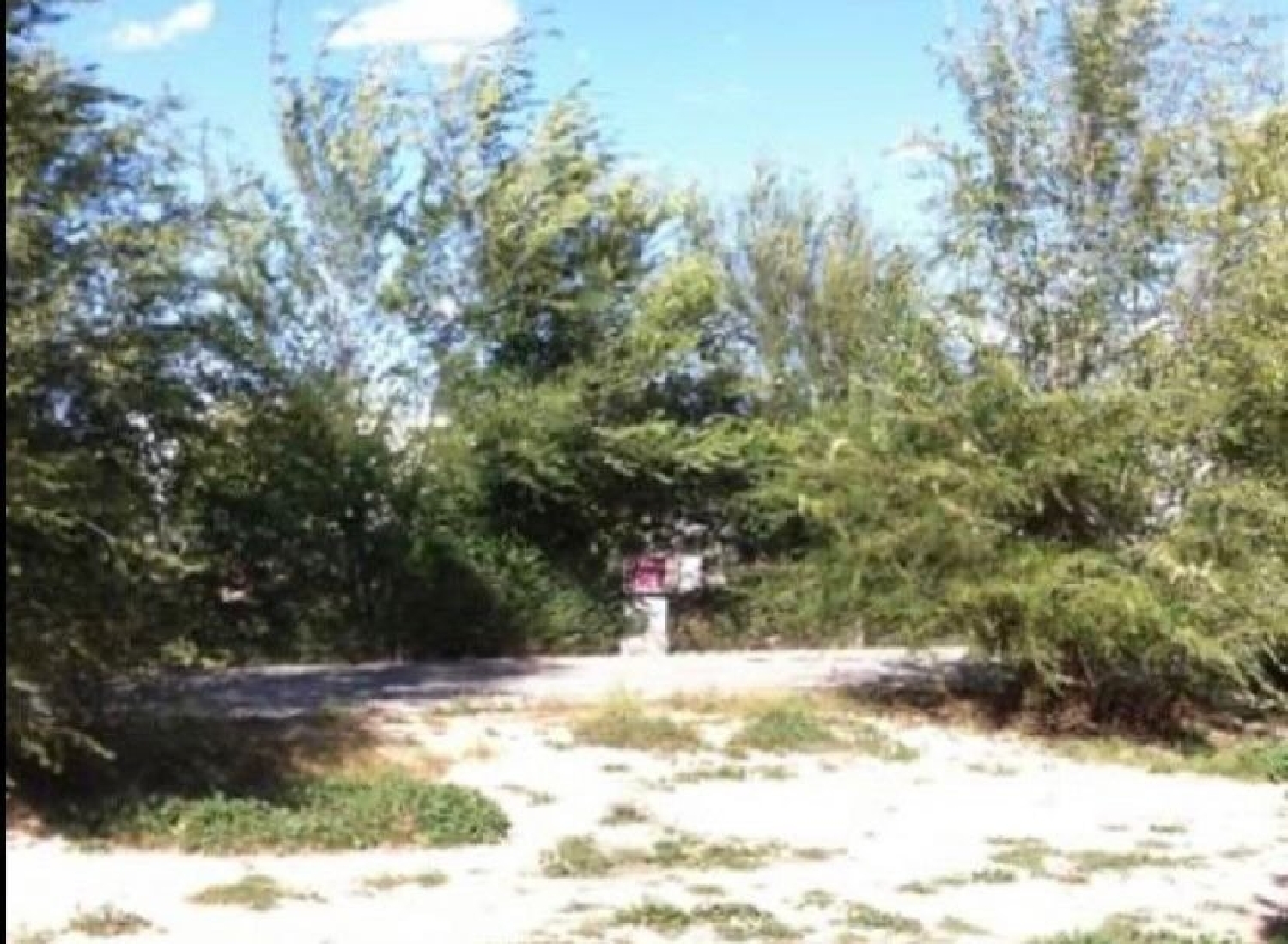  for sale plot Casas Del Campillo Monte Ibérico Almansa 1