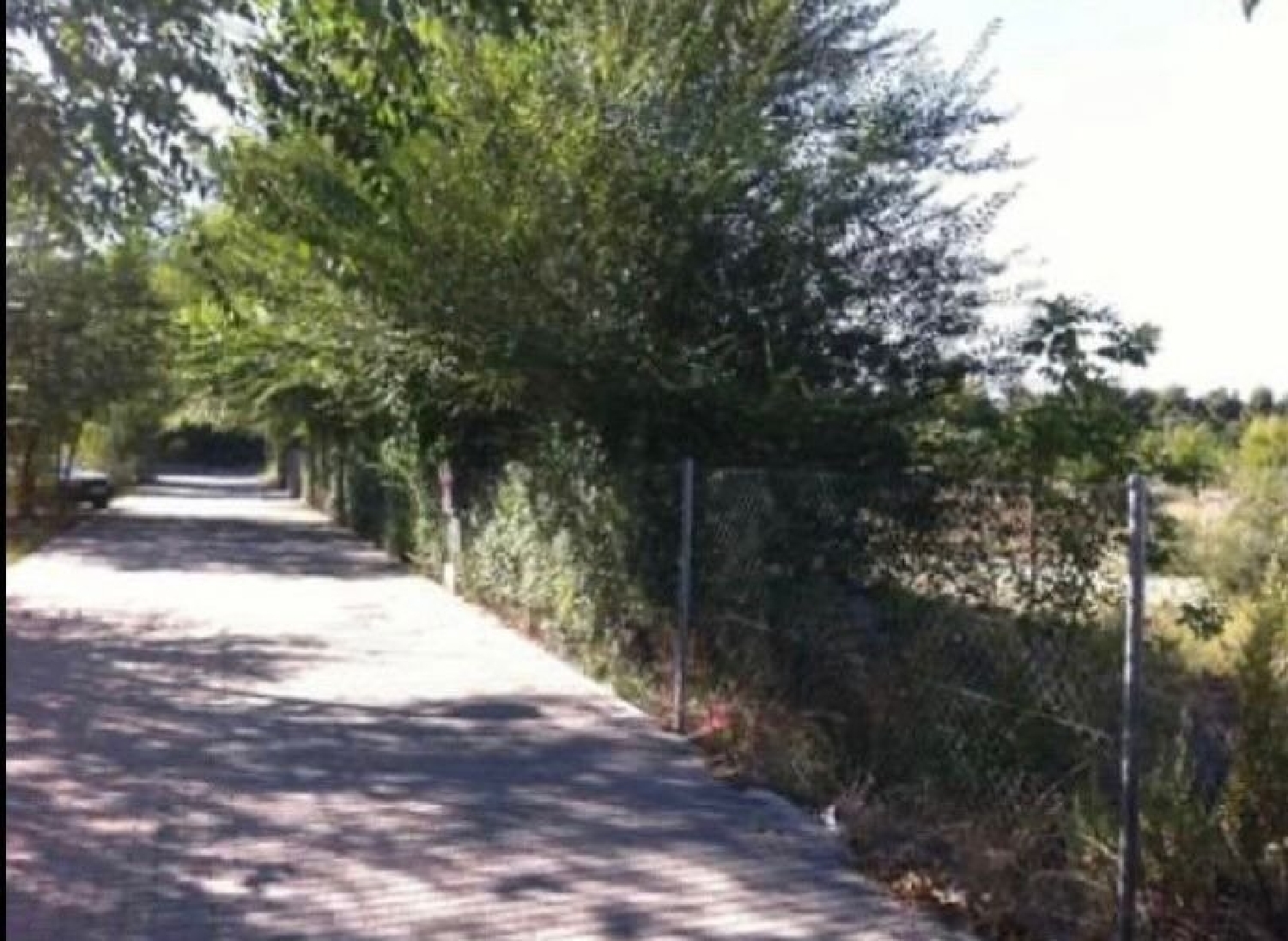 for sale plot Casas Del Campillo Monte Ibérico Almansa 2