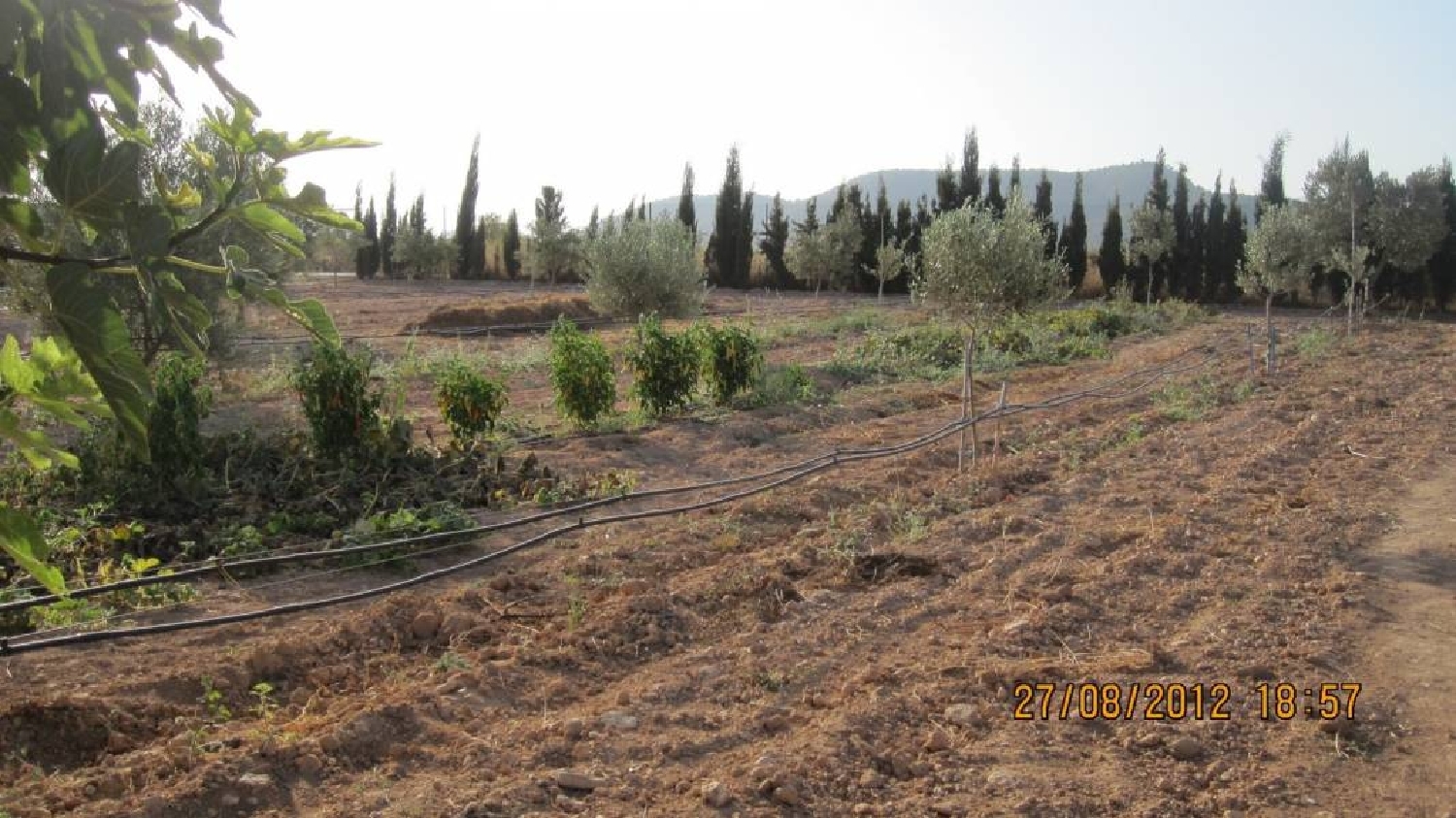  till salu tomt El Derramao Vinalopó Mitjà 8