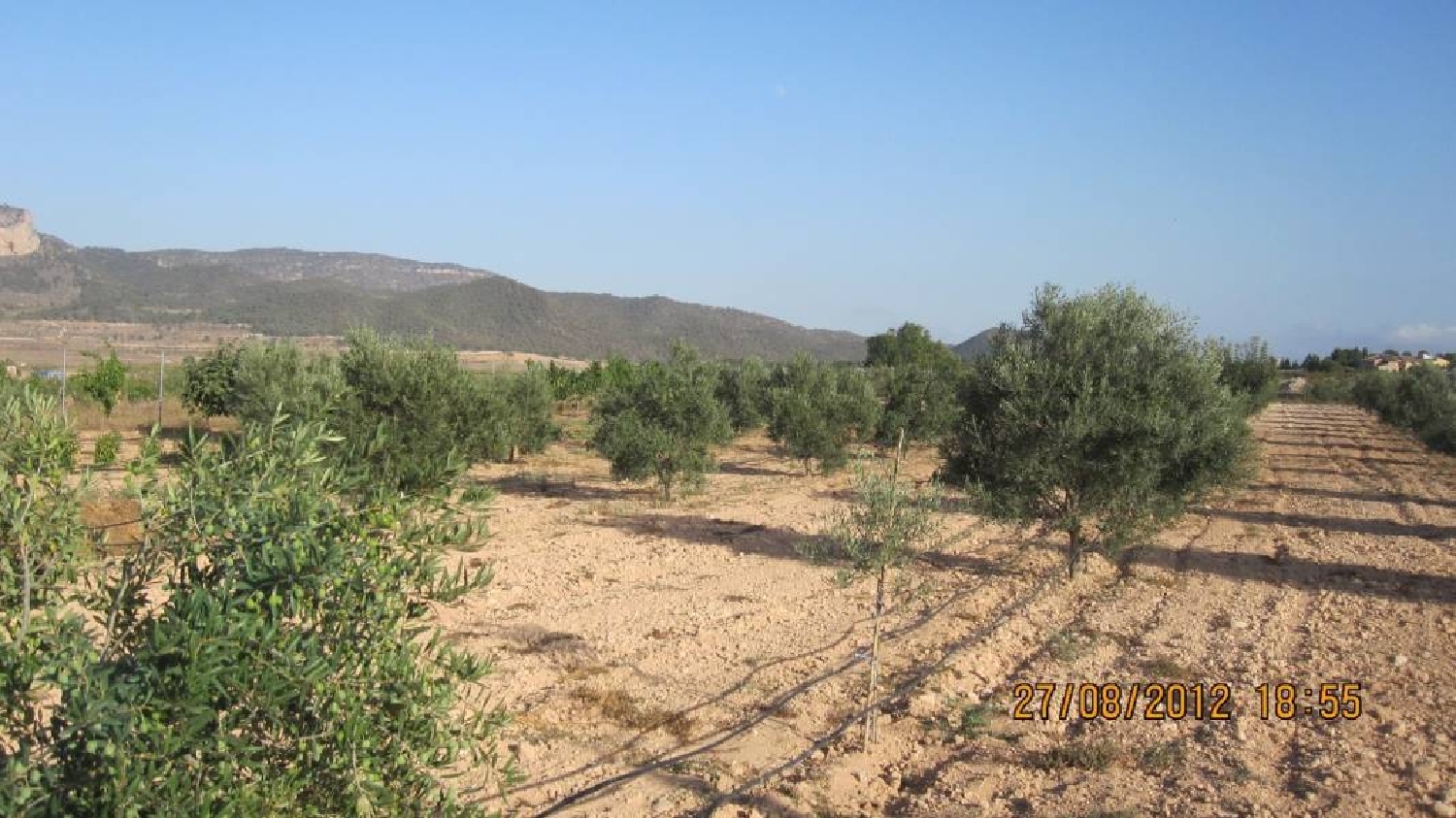  till salu tomt El Derramao Vinalopó Mitjà 4