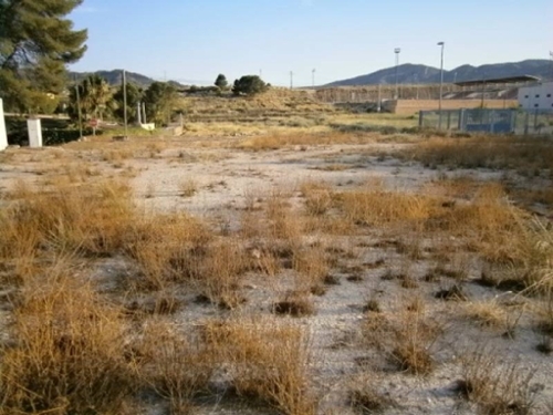 Manya Vinalopó Mitjà tomt foto 6223352