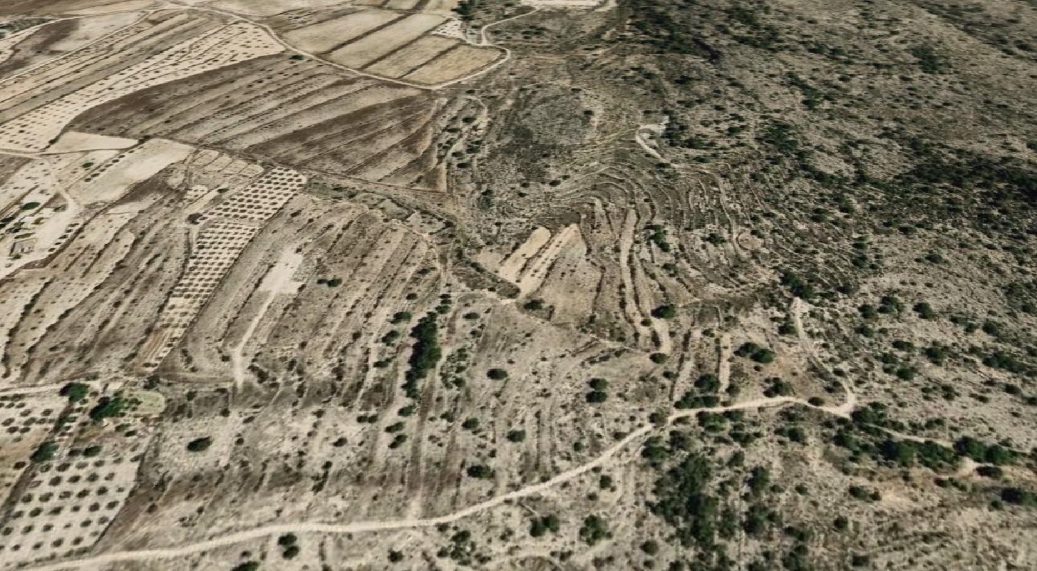  till salu tomt Fondó Vinalopó Mitjà 4