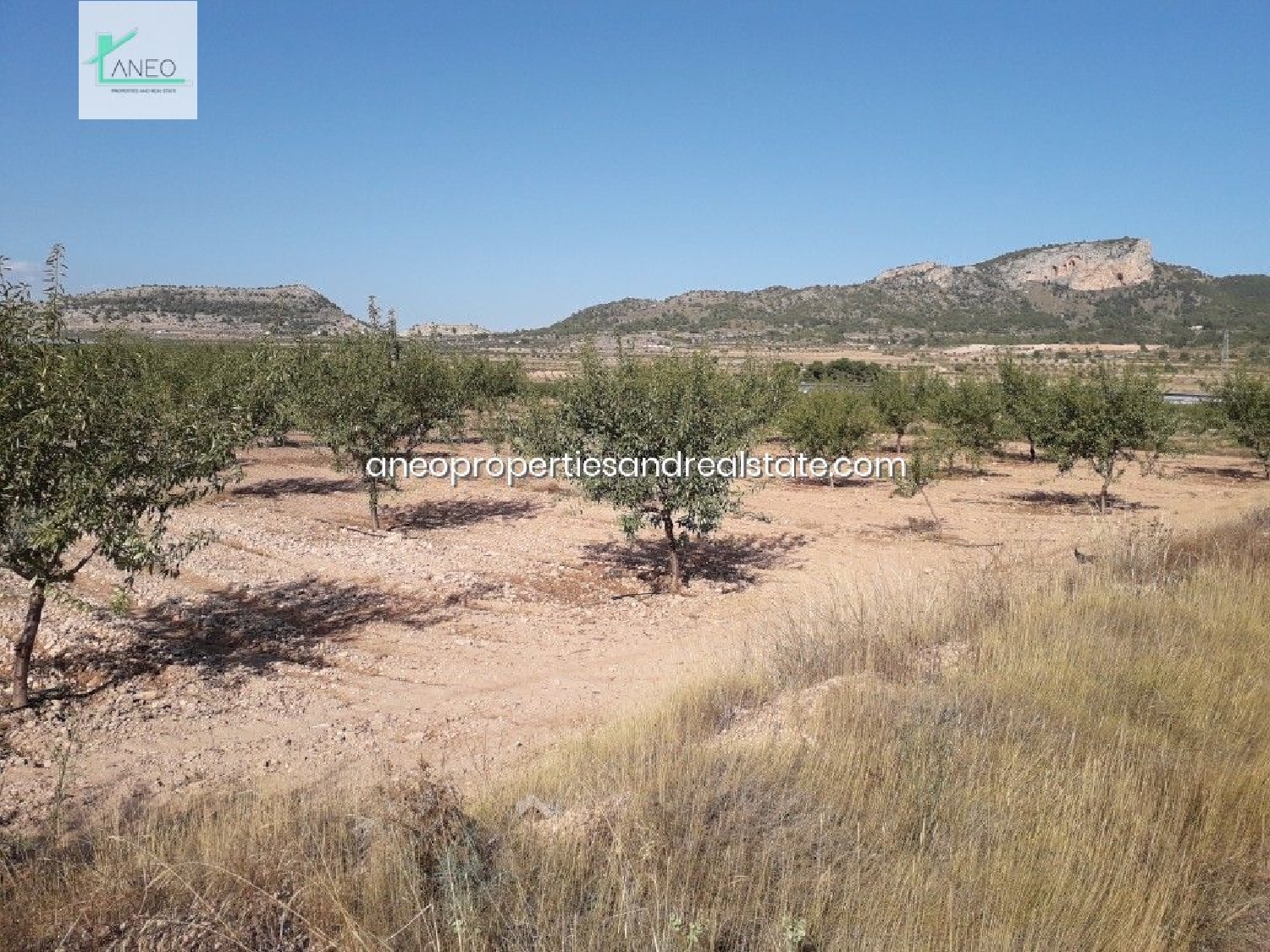  till salu tomt Cases Joan Blanco Vinalopó Mitjà 1