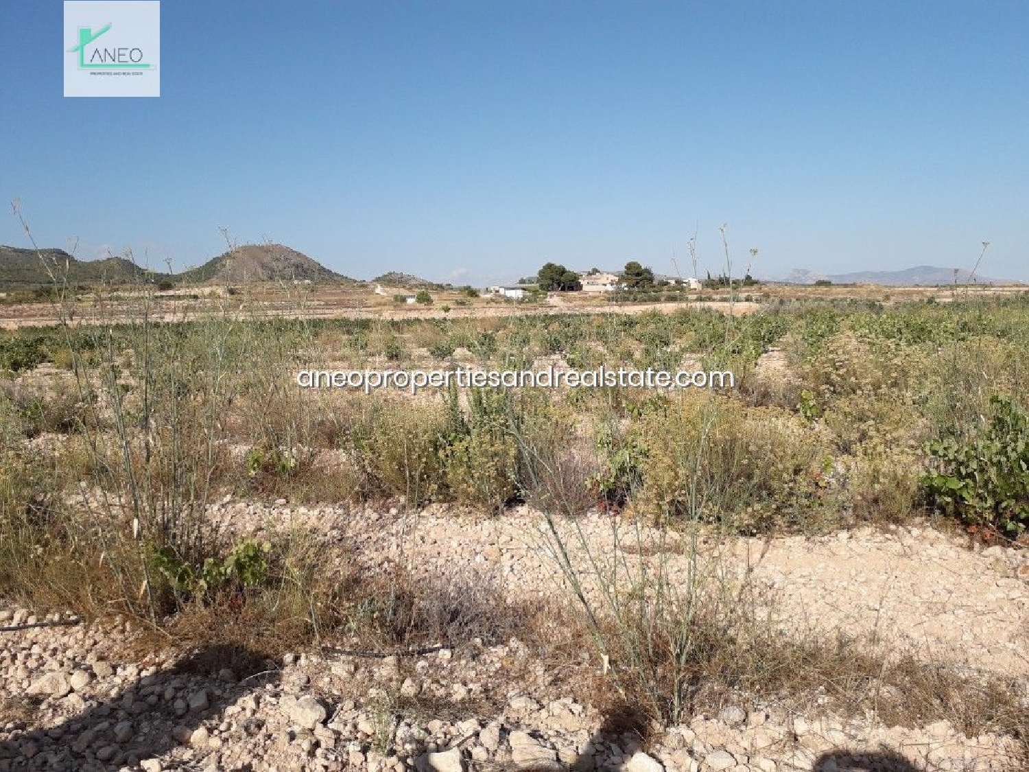 till salu tomt Cases Joan Blanco Vinalopó Mitjà 3