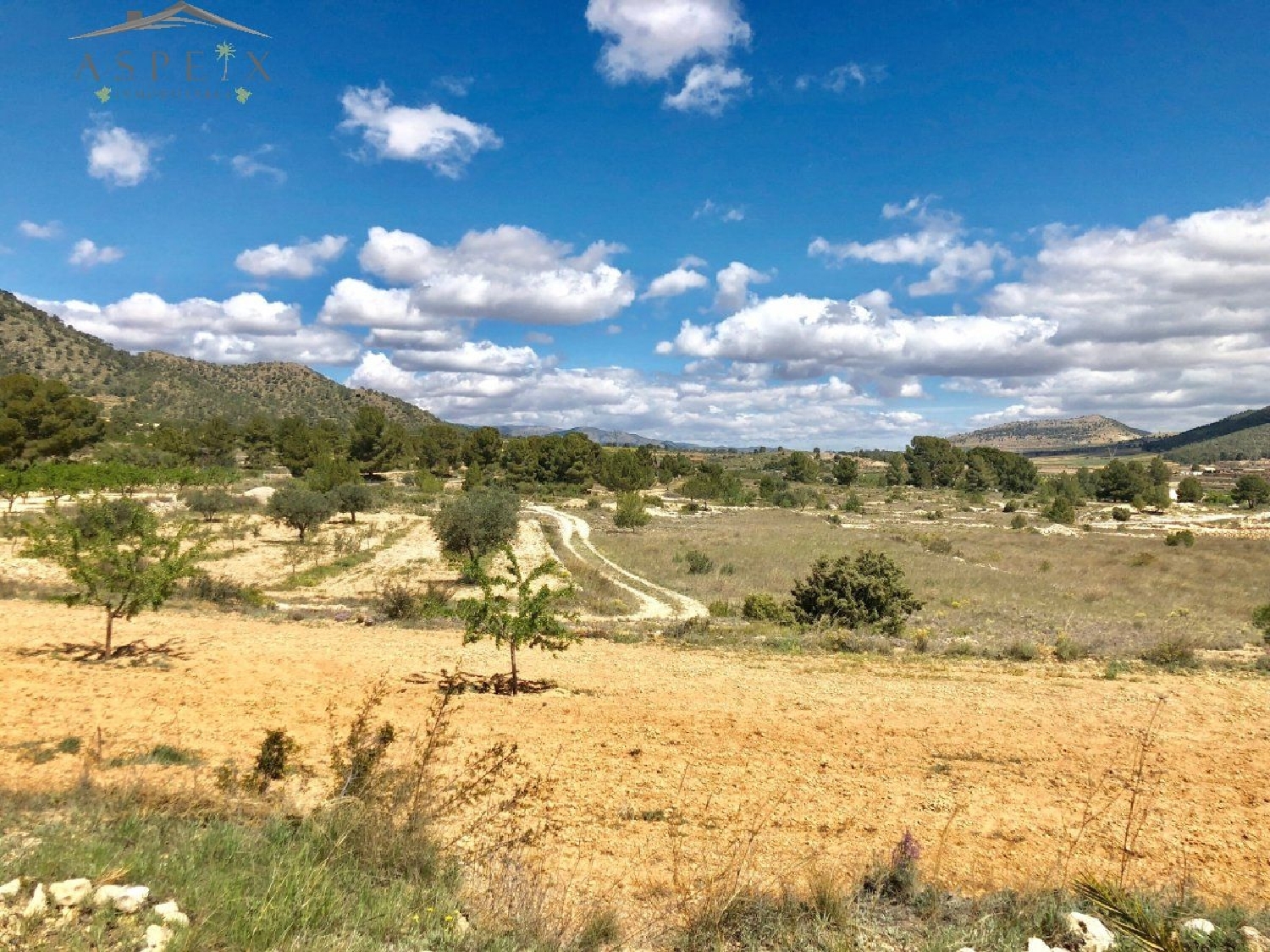  till salu tomt El Derramao Vinalopó Mitjà 6