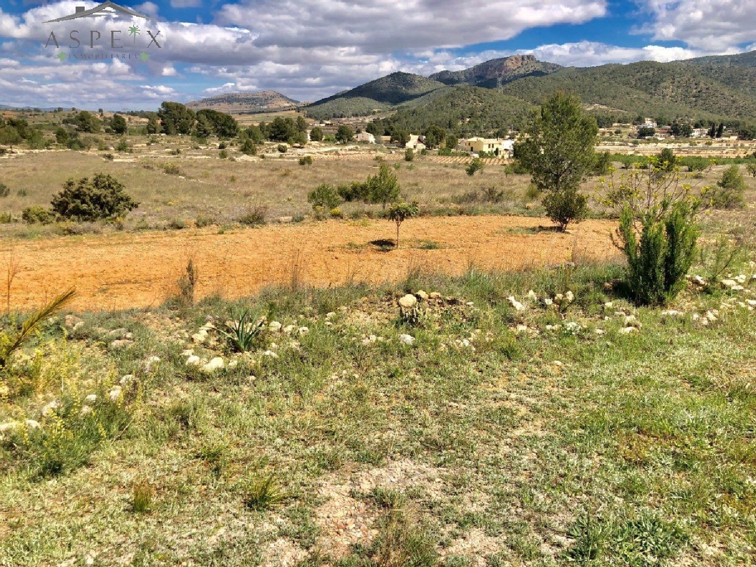  till salu tomt El Derramao Vinalopó Mitjà 5