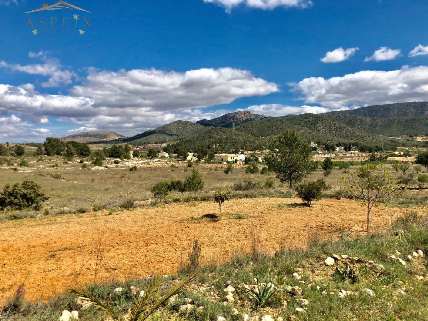  till salu tomt El Derramao Vinalopó Mitjà 4