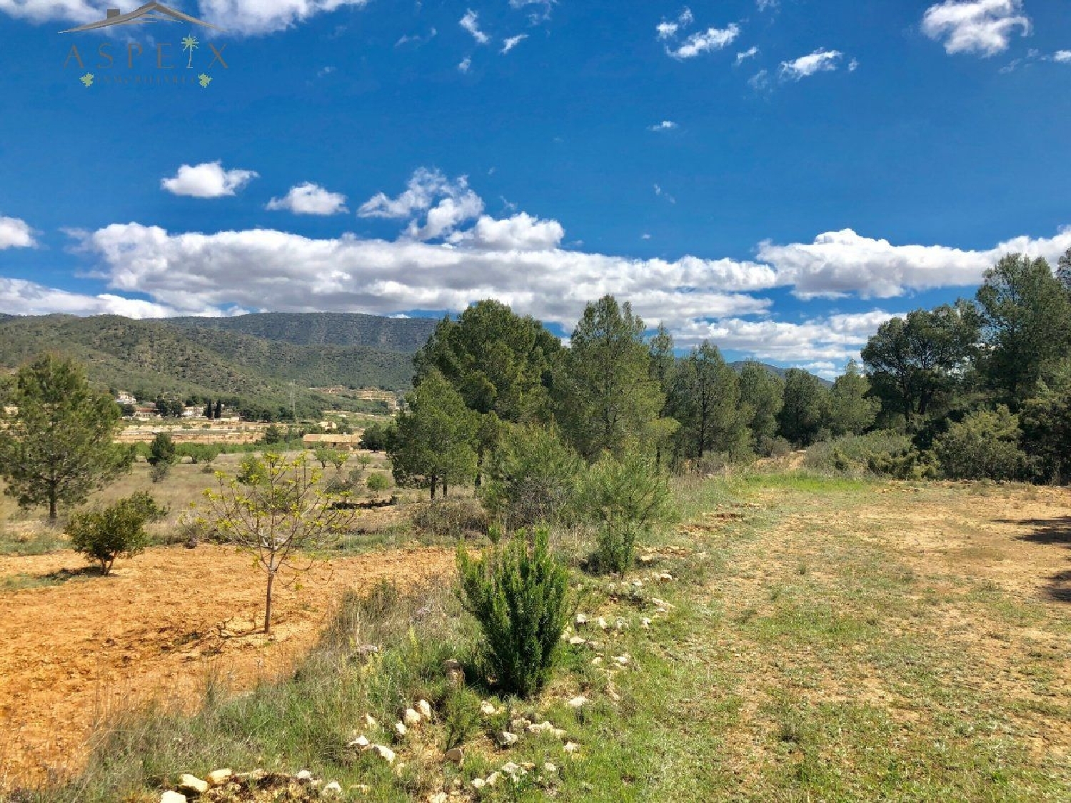 till salu tomt El Derramao Vinalopó Mitjà 3