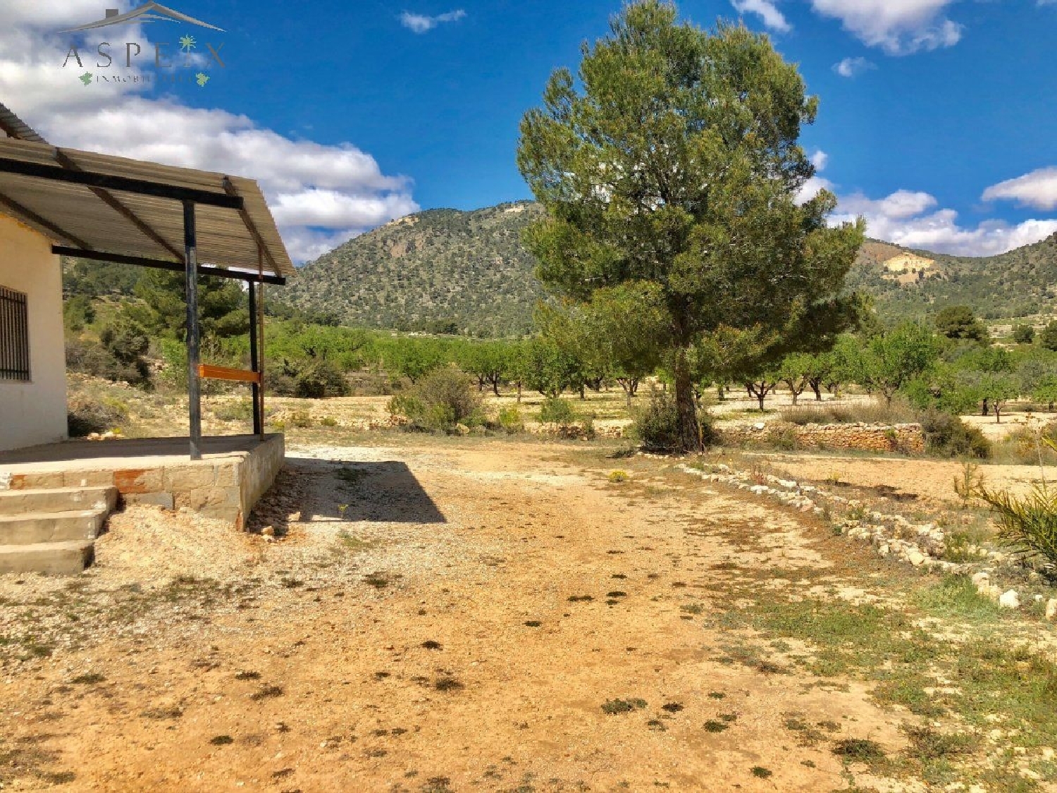  till salu tomt El Derramao Vinalopó Mitjà 1